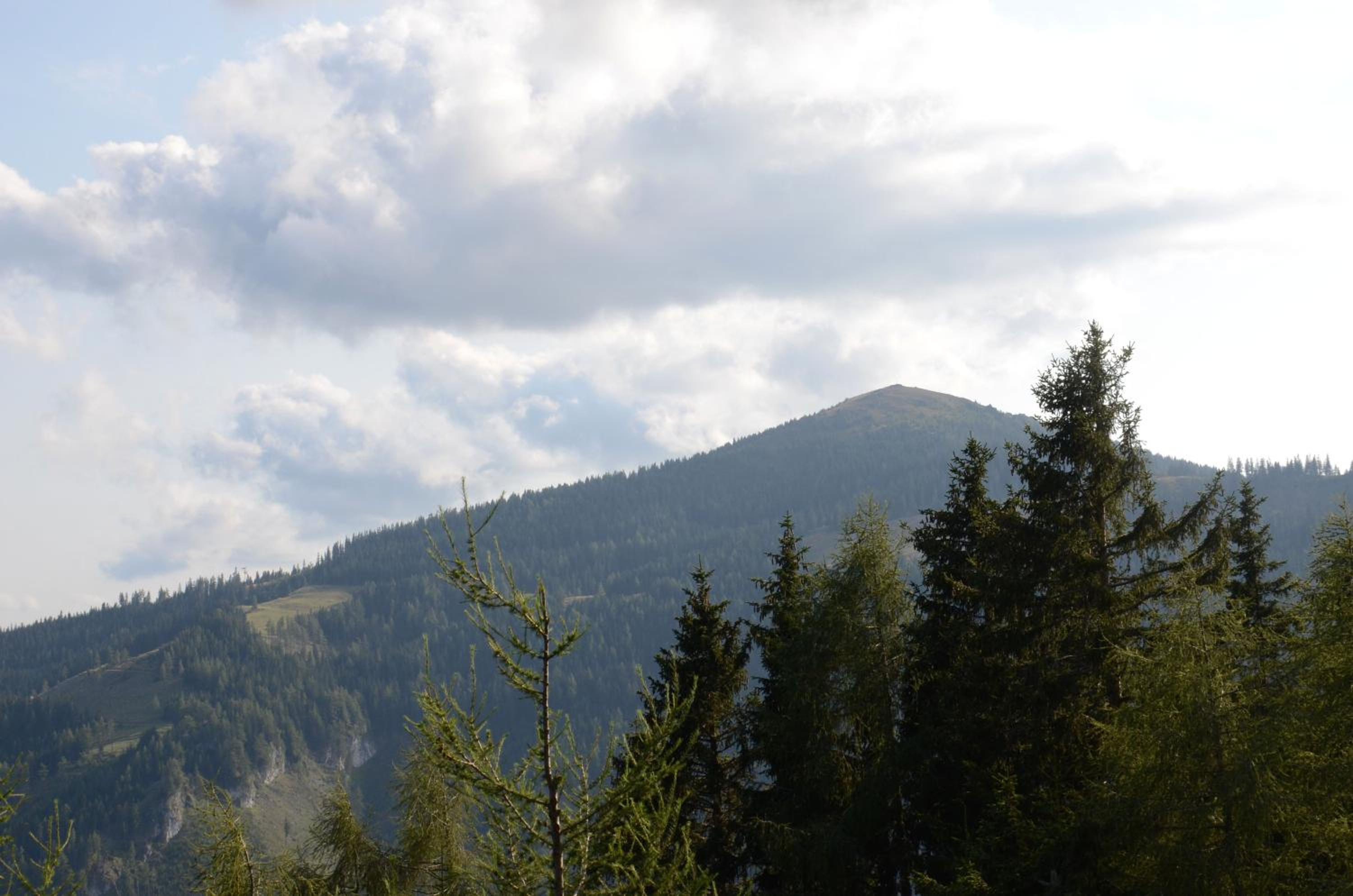 Ferienhaus Bergfee