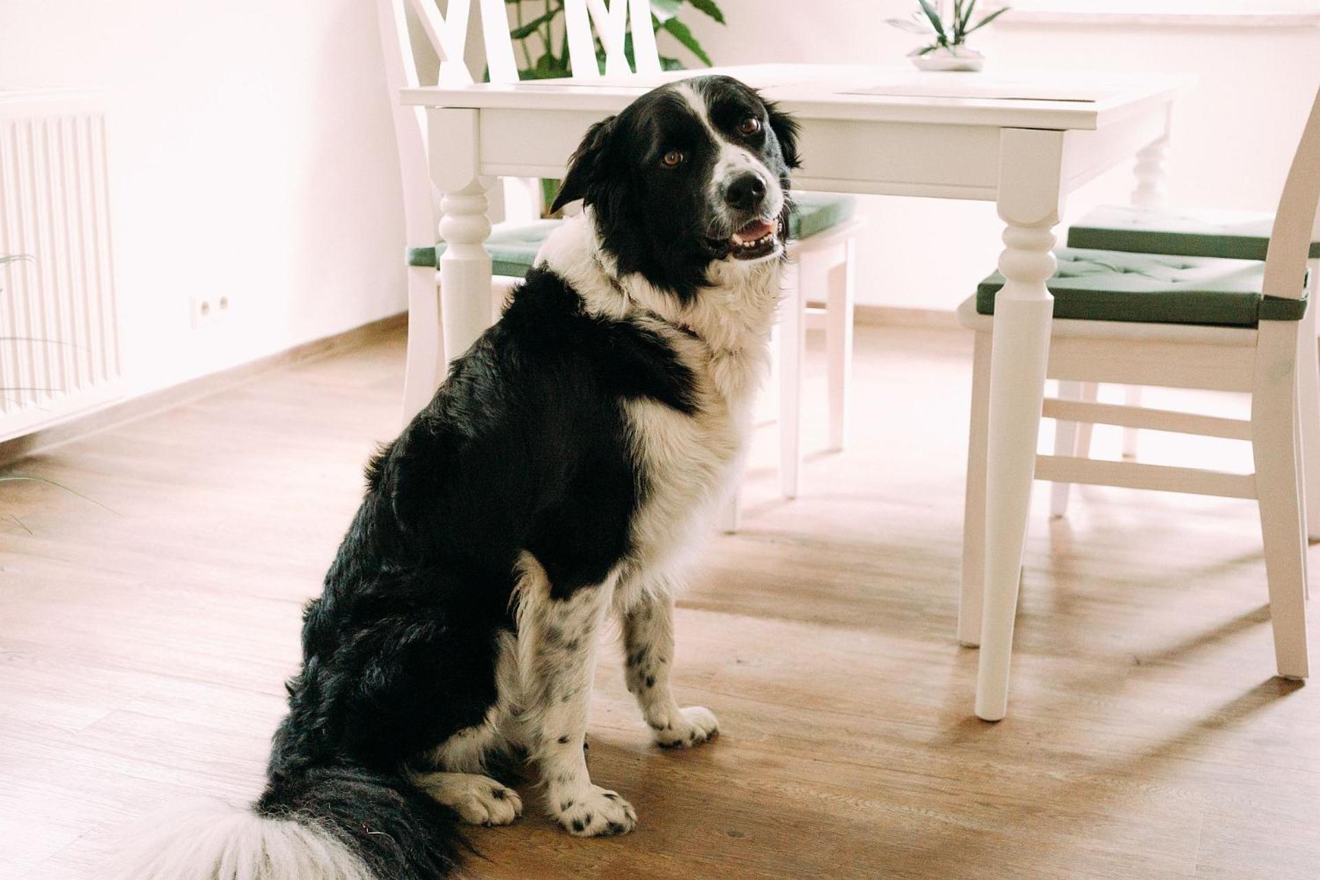 Ferienwohnung Worpsweder Schlösschen, photo 9