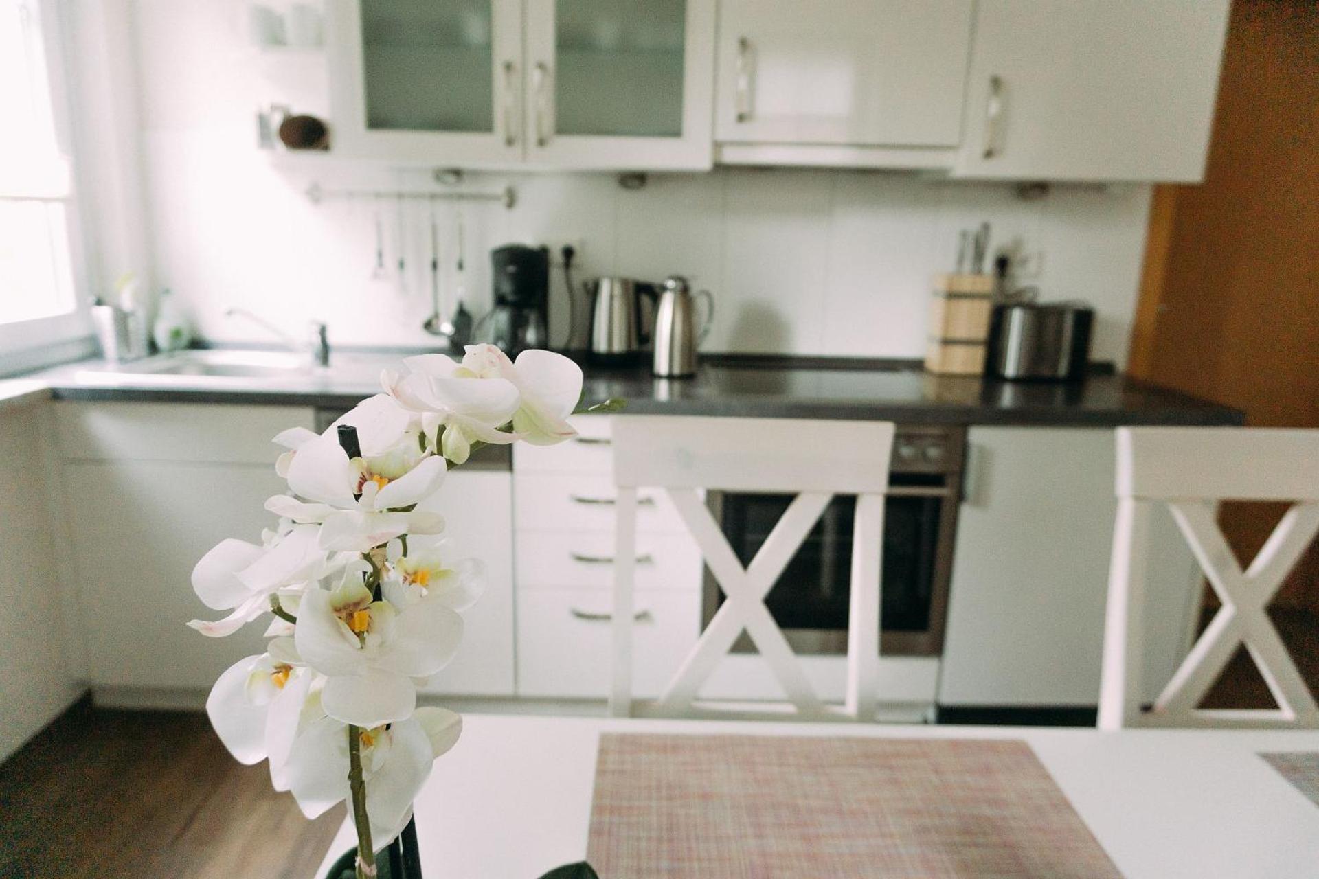 Ferienwohnung Worpsweder Schlösschen, photo 12