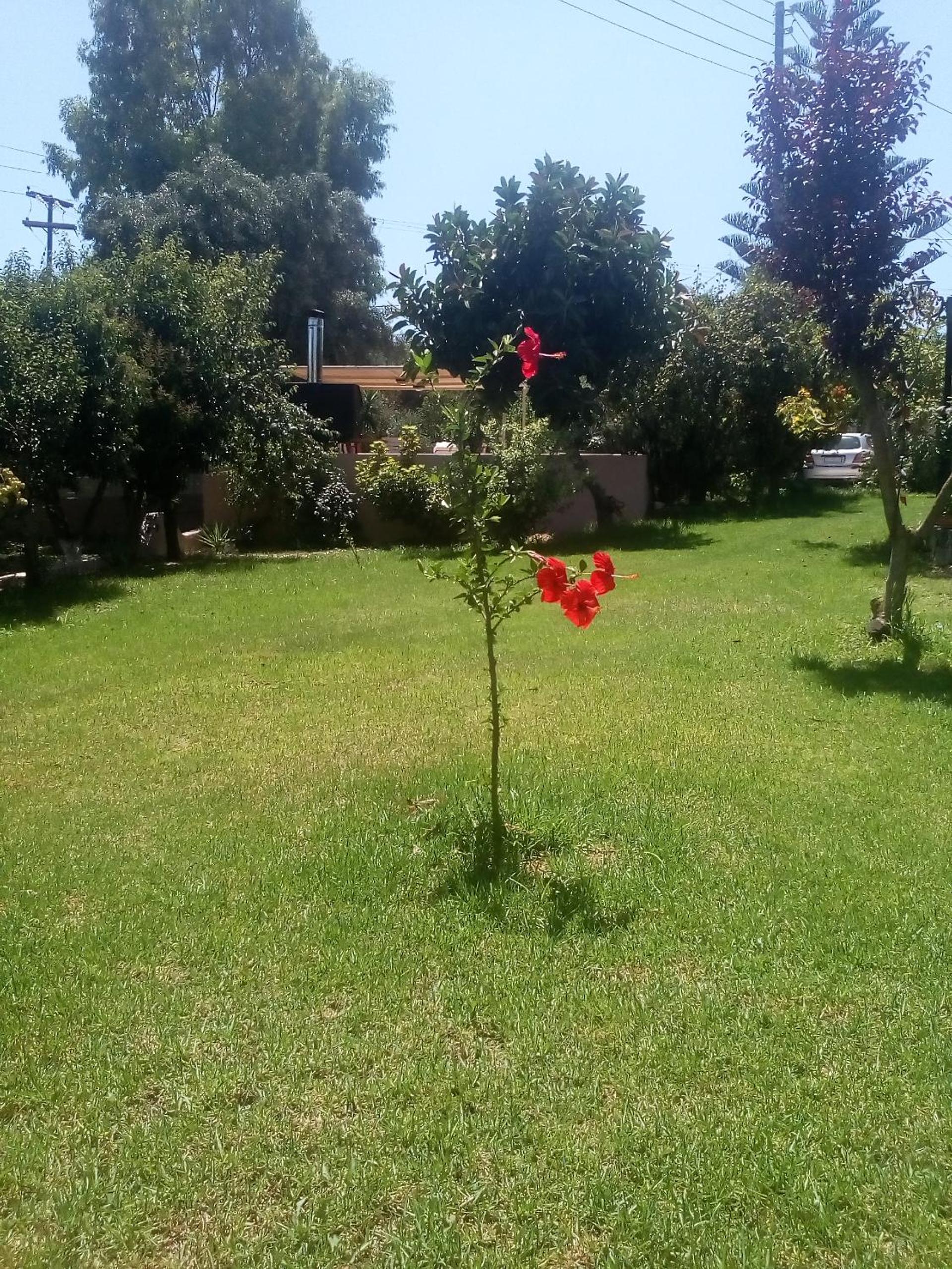 Vasiliki Apartments photo 4