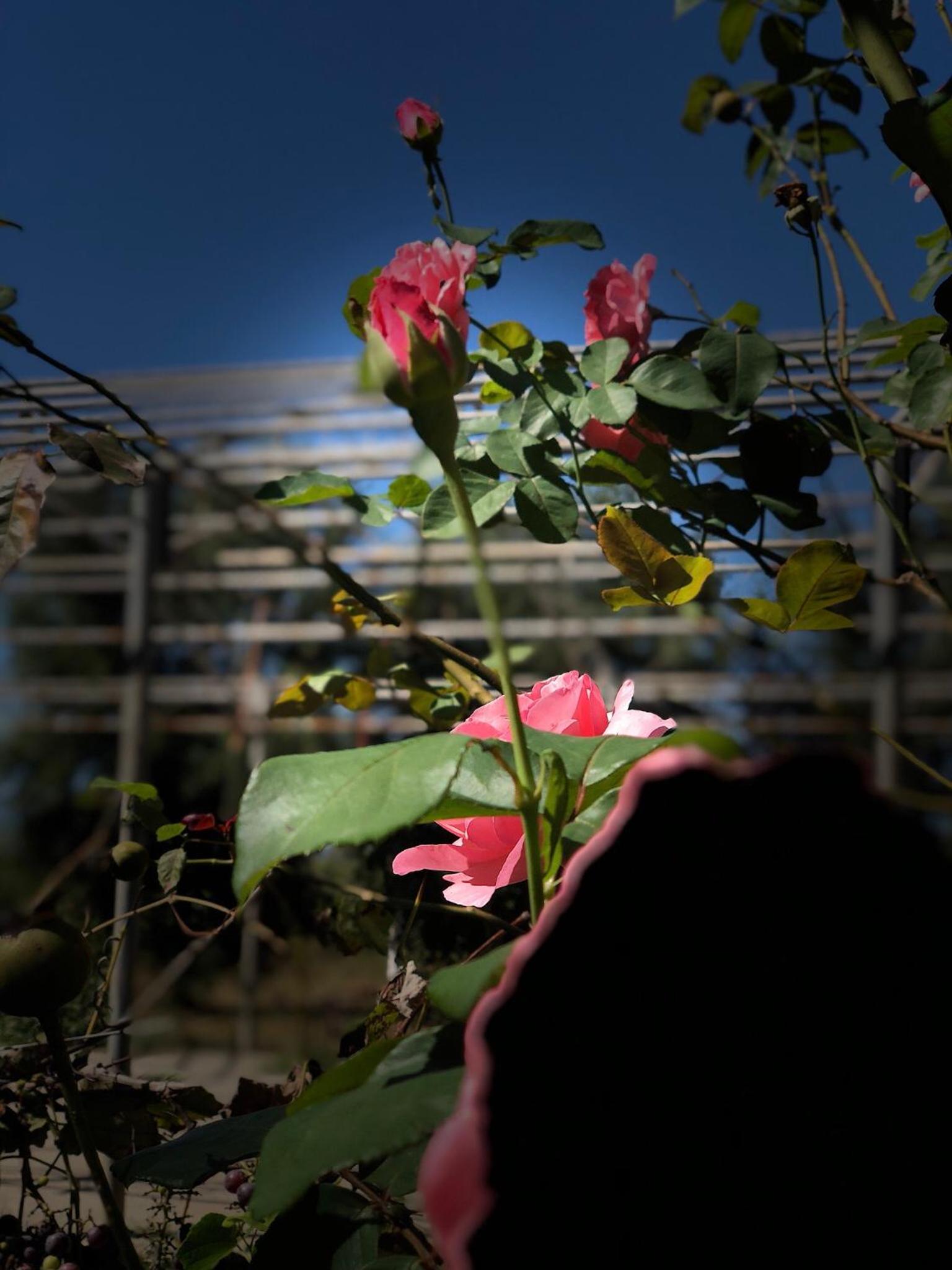 Decri resort, photo 45