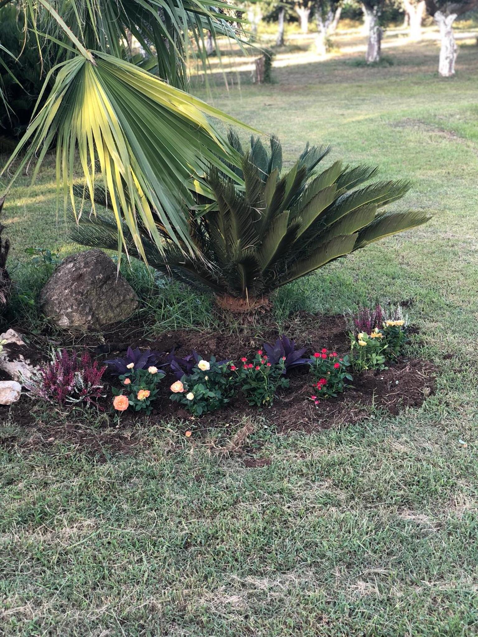 Decri resort, photo 29