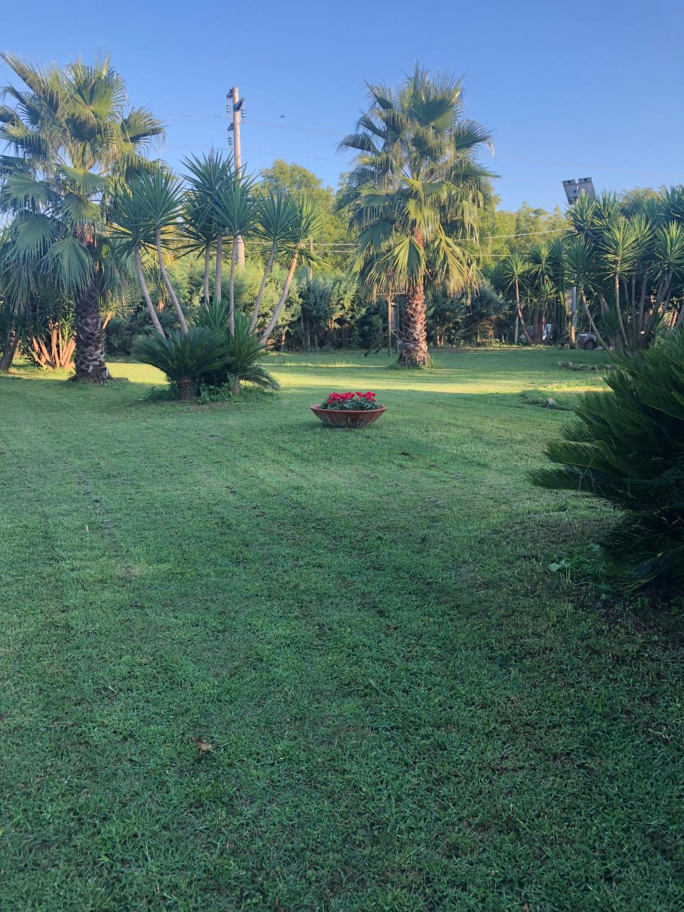 Decri resort, photo 119