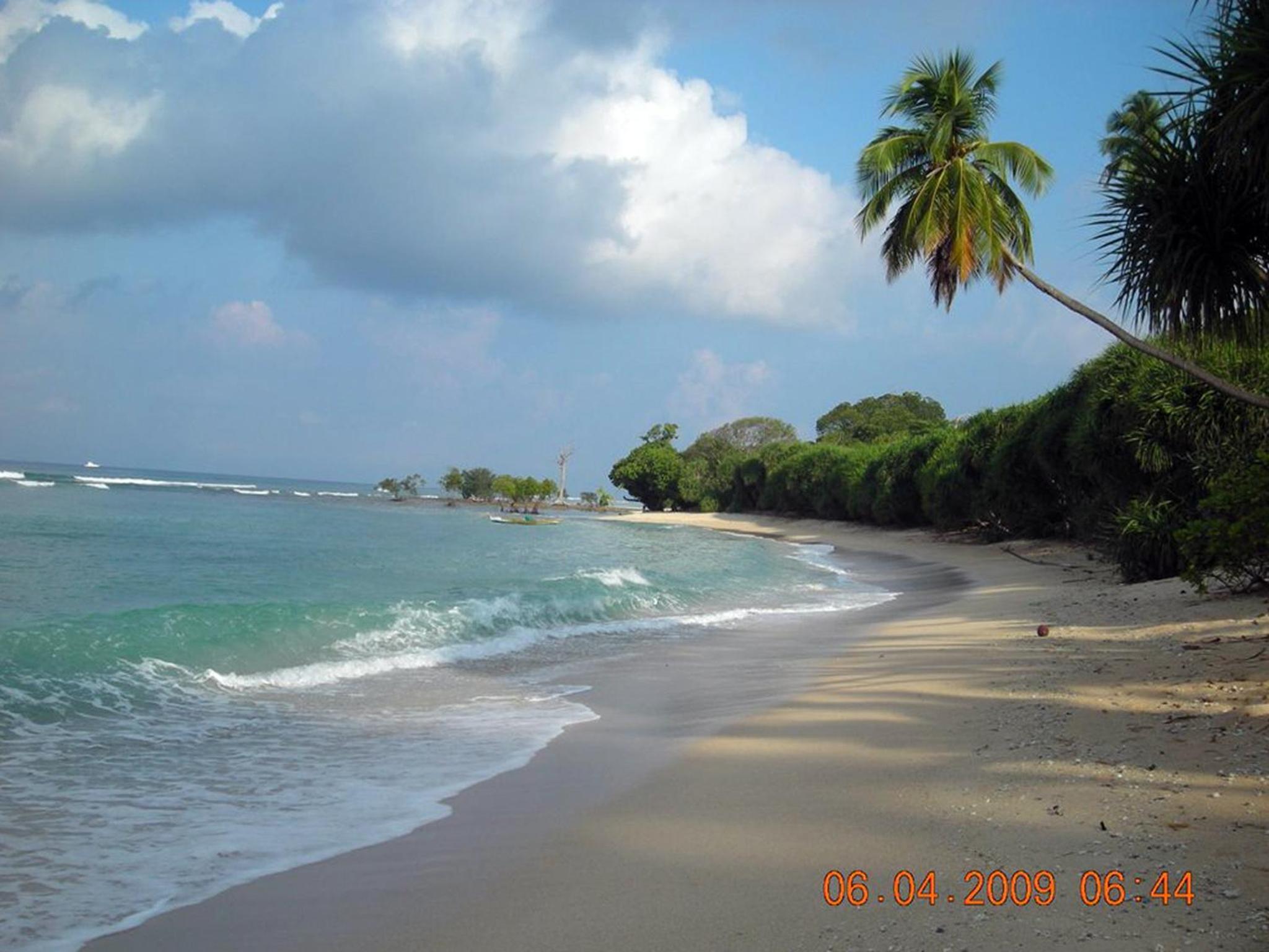 Photo 12