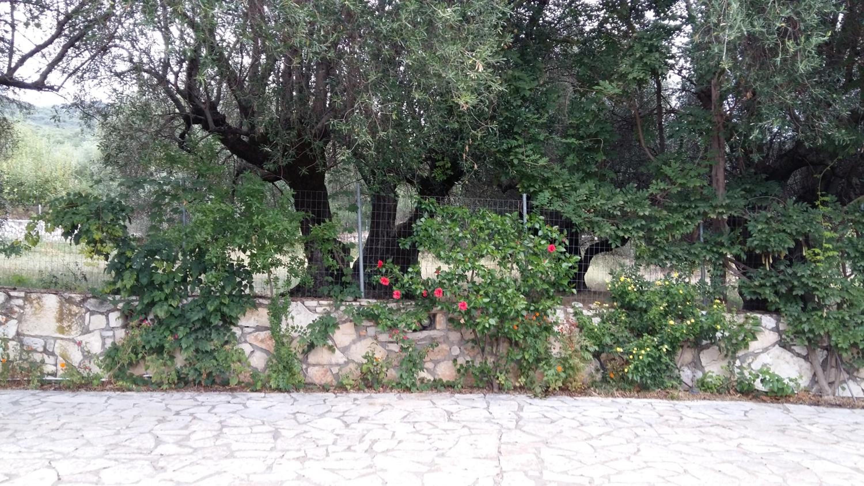 The Stone House-Zacharatos Nikolaos view 3