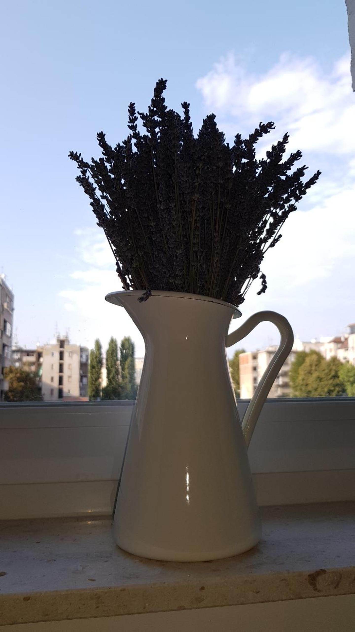 Citylux Apartments — photo 43