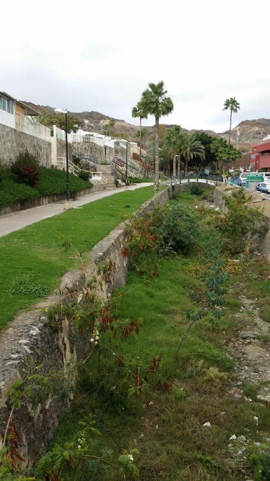 Photo 31