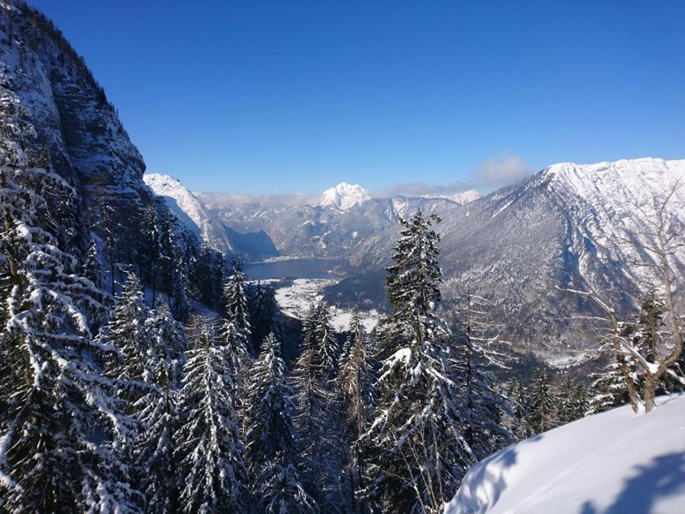 Sportpension Schober self check-in