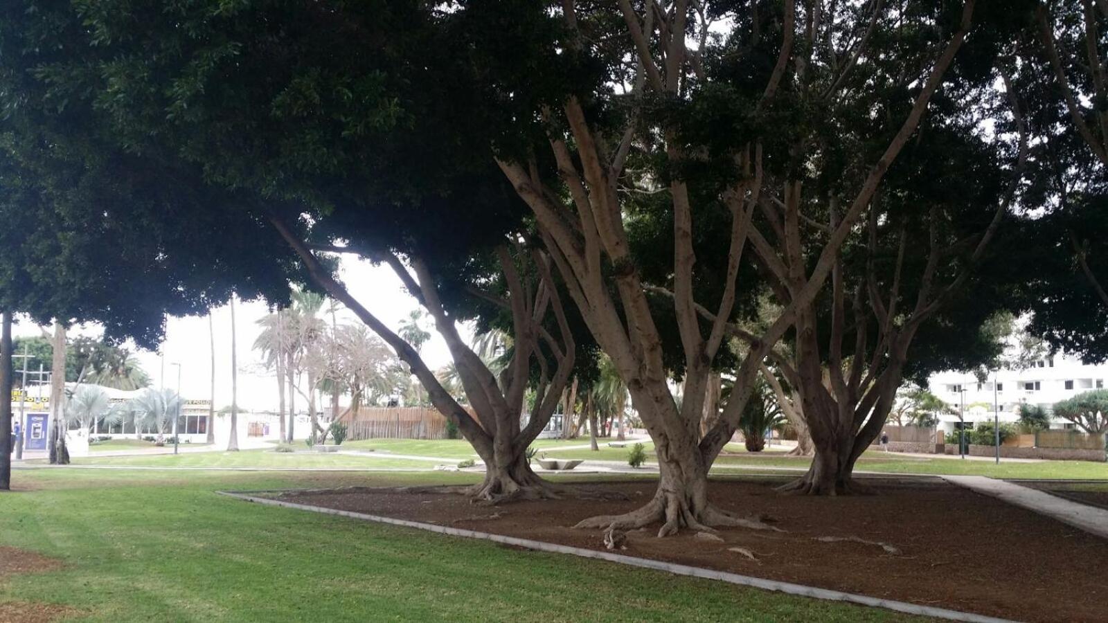 Photo 32