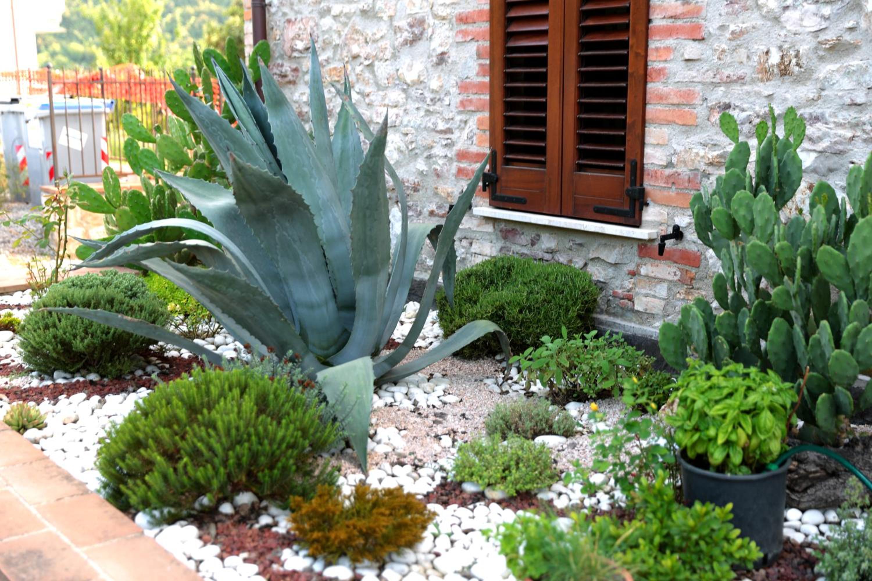 Il Casolare Green House view 3