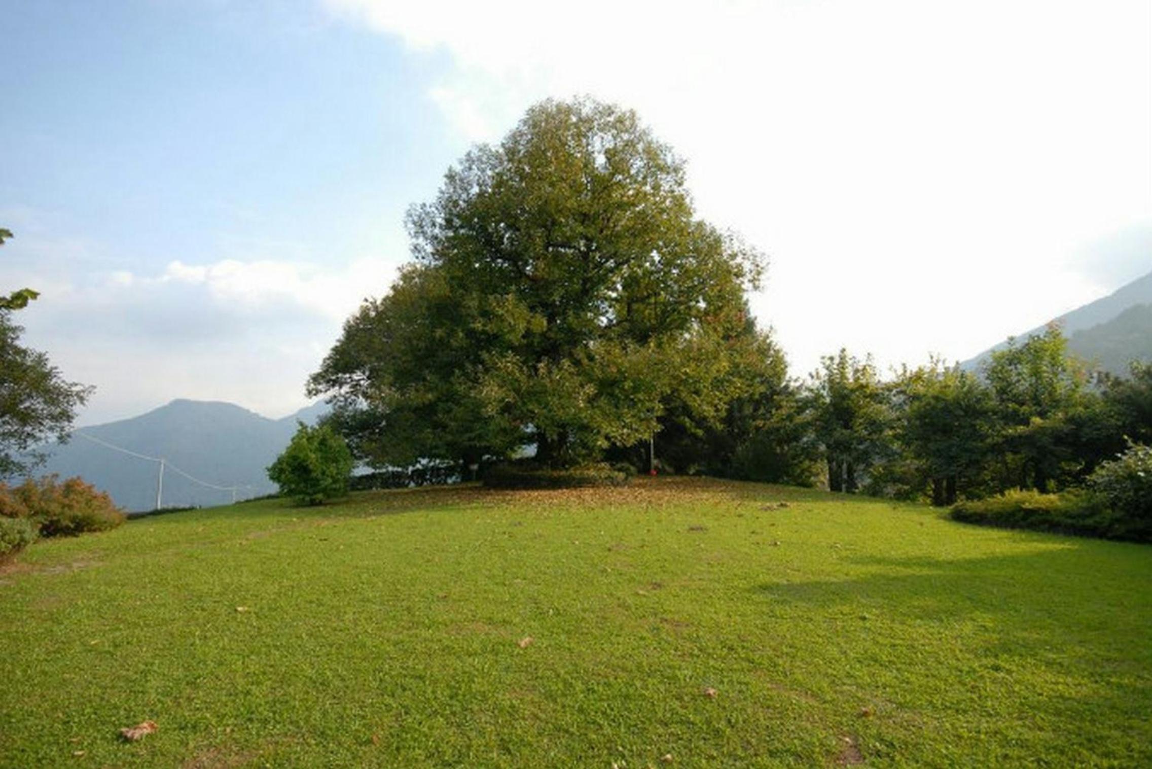 Villa Il Castagno view 4