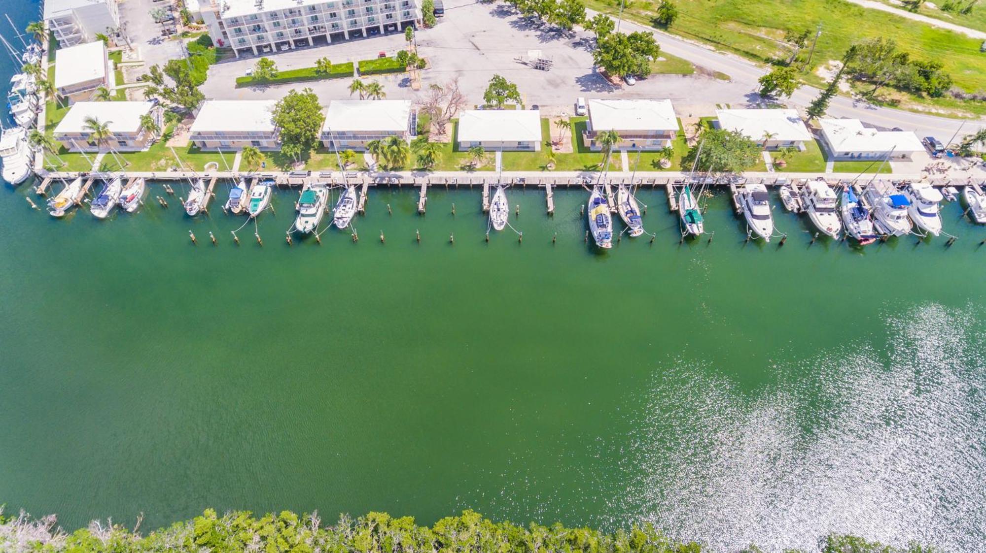 Skipjack Resort & Marina, Φωτογραφία 97