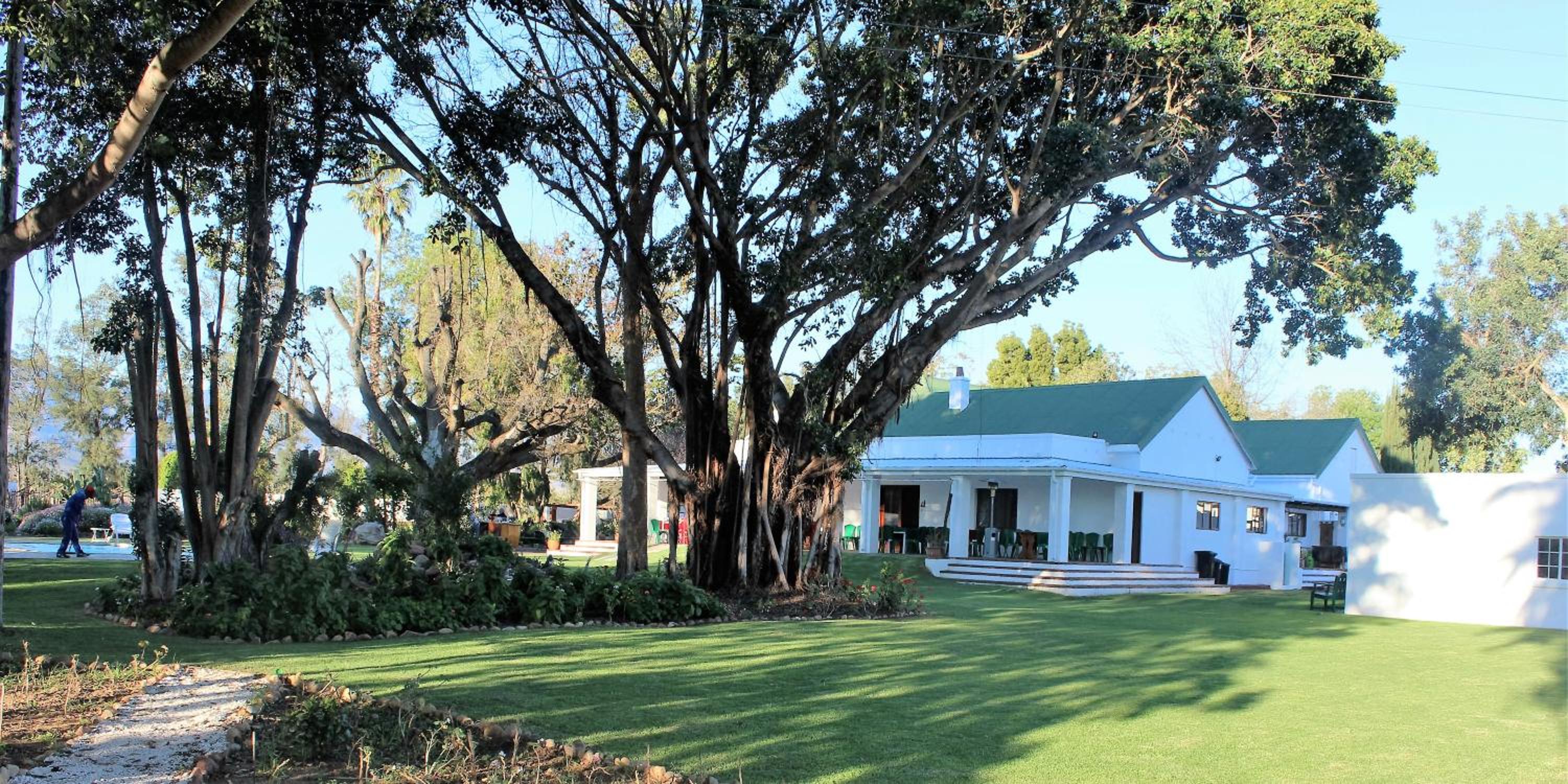 Green Olive Guesthouse