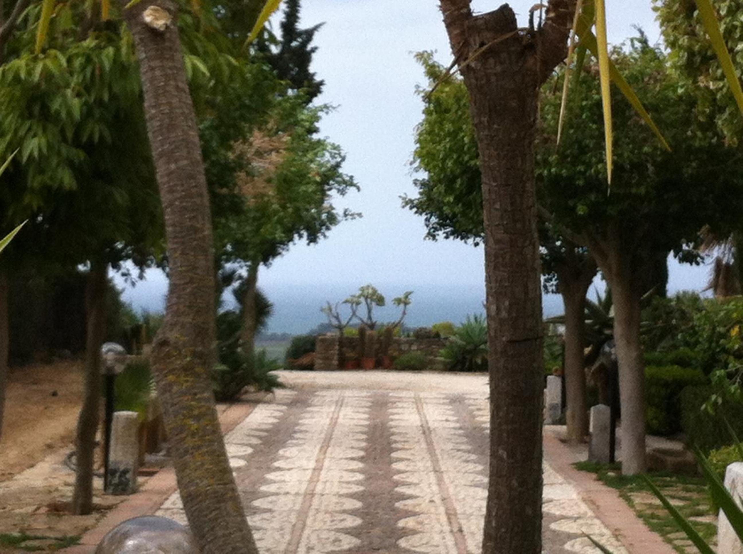 Photo 48
