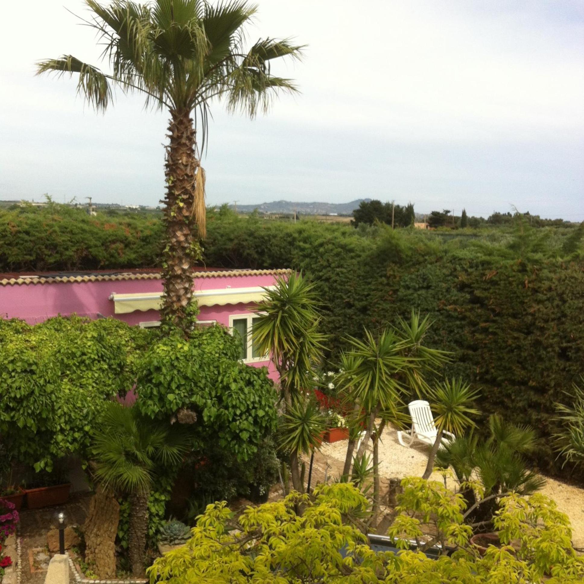 Photo 44