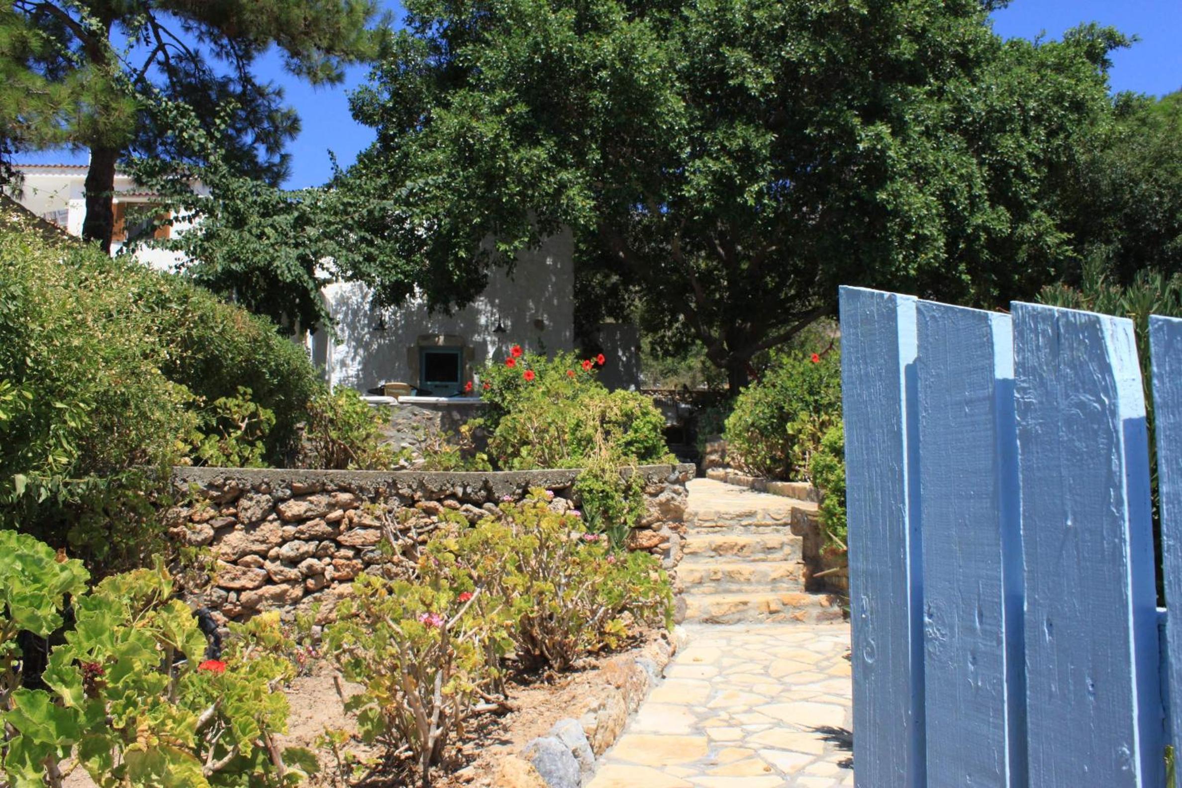 Photo 8