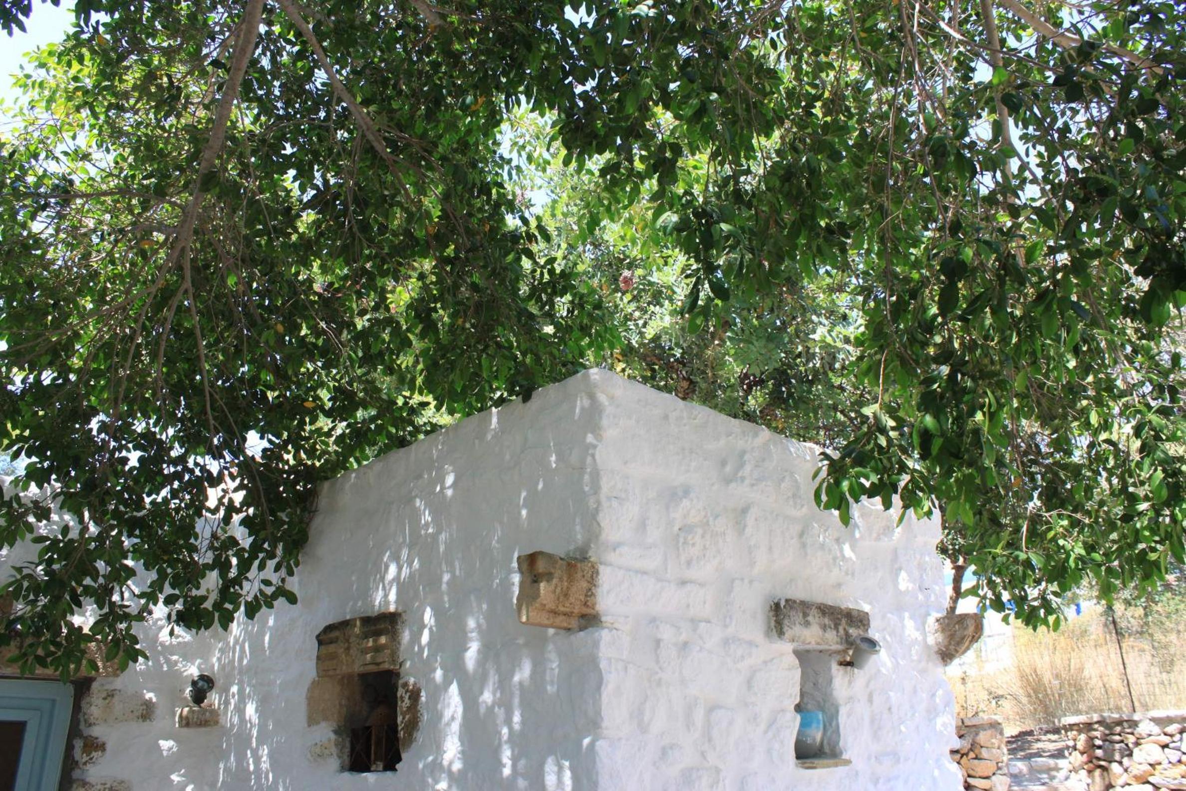 Photo 6