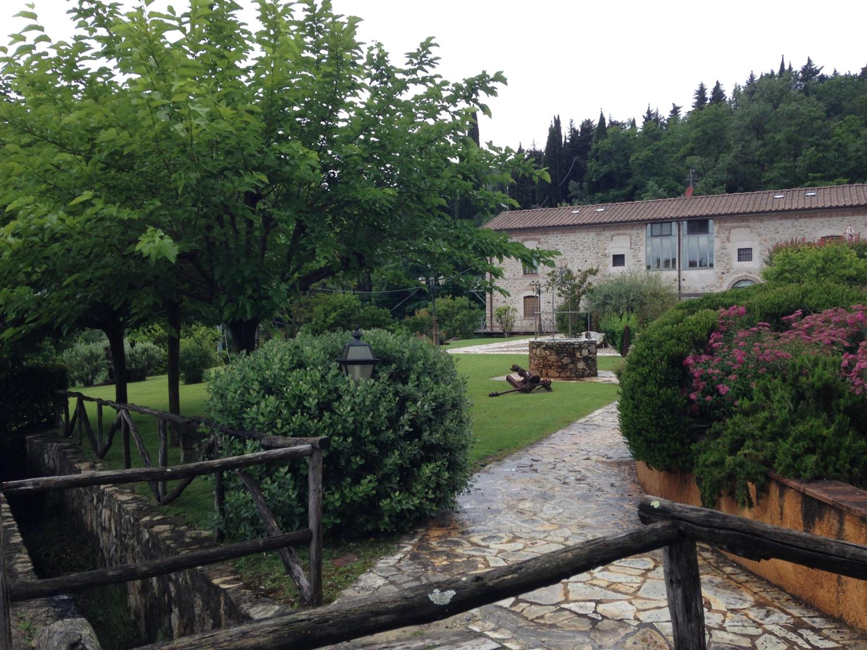Lady Frantoio Toscano view 3