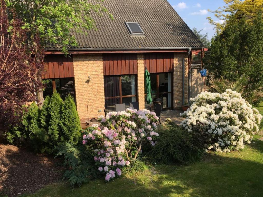 Ferienhaus Busch