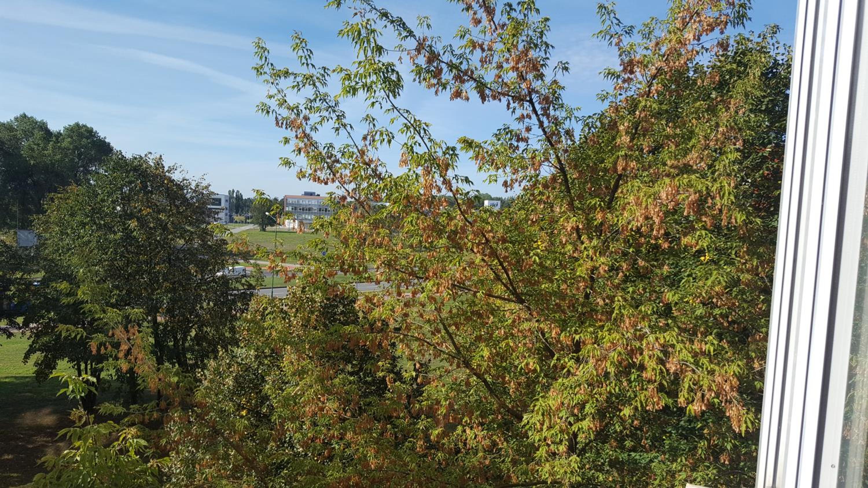 Neringa apartments view 3