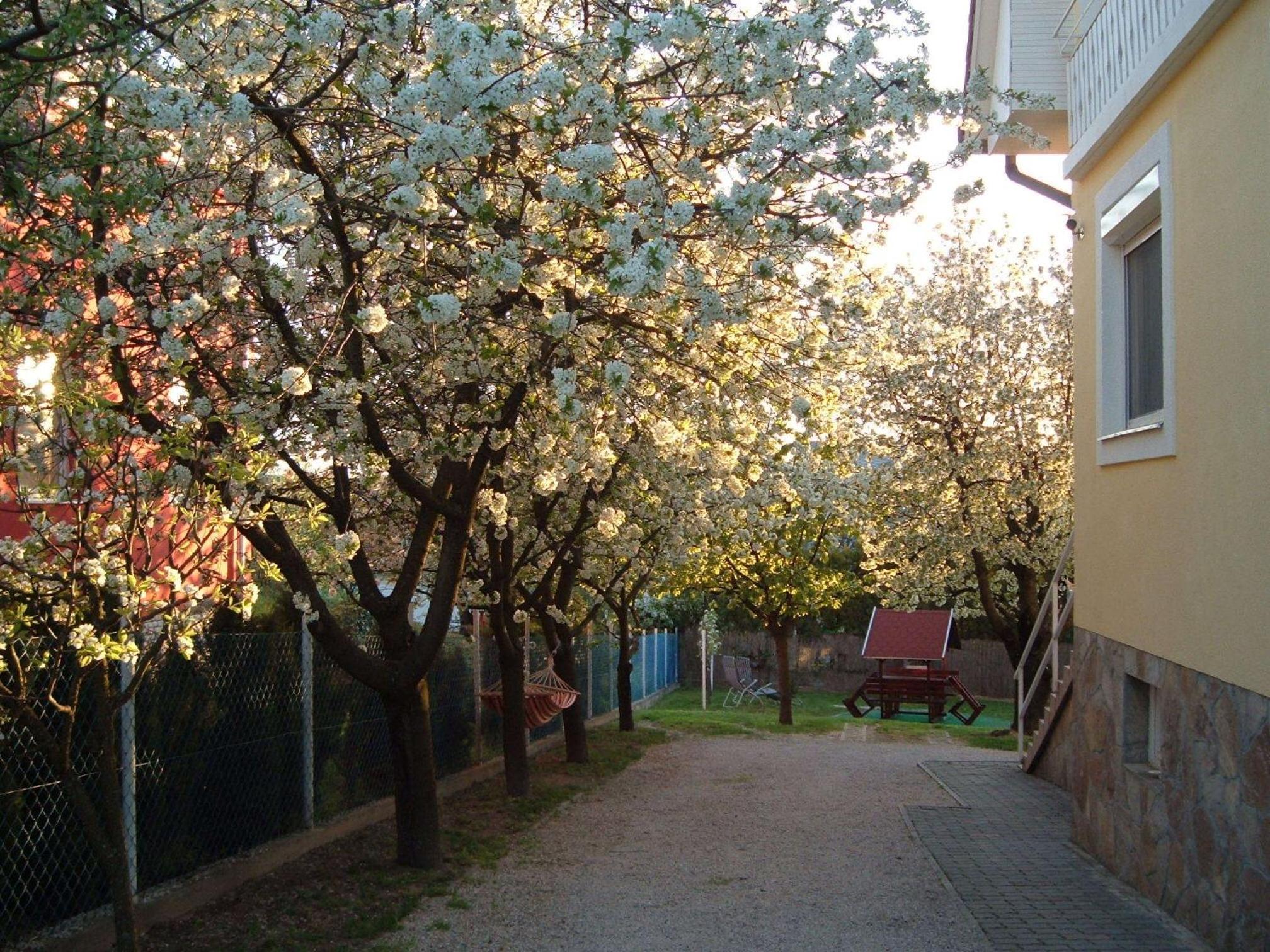 Photo 26