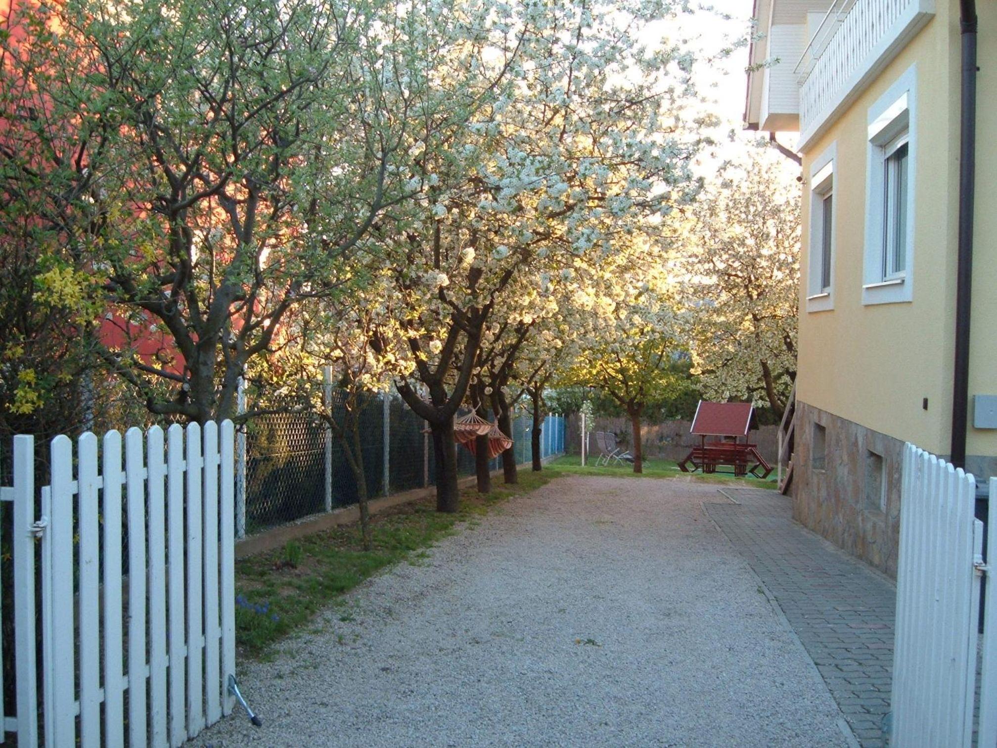 Photo 32