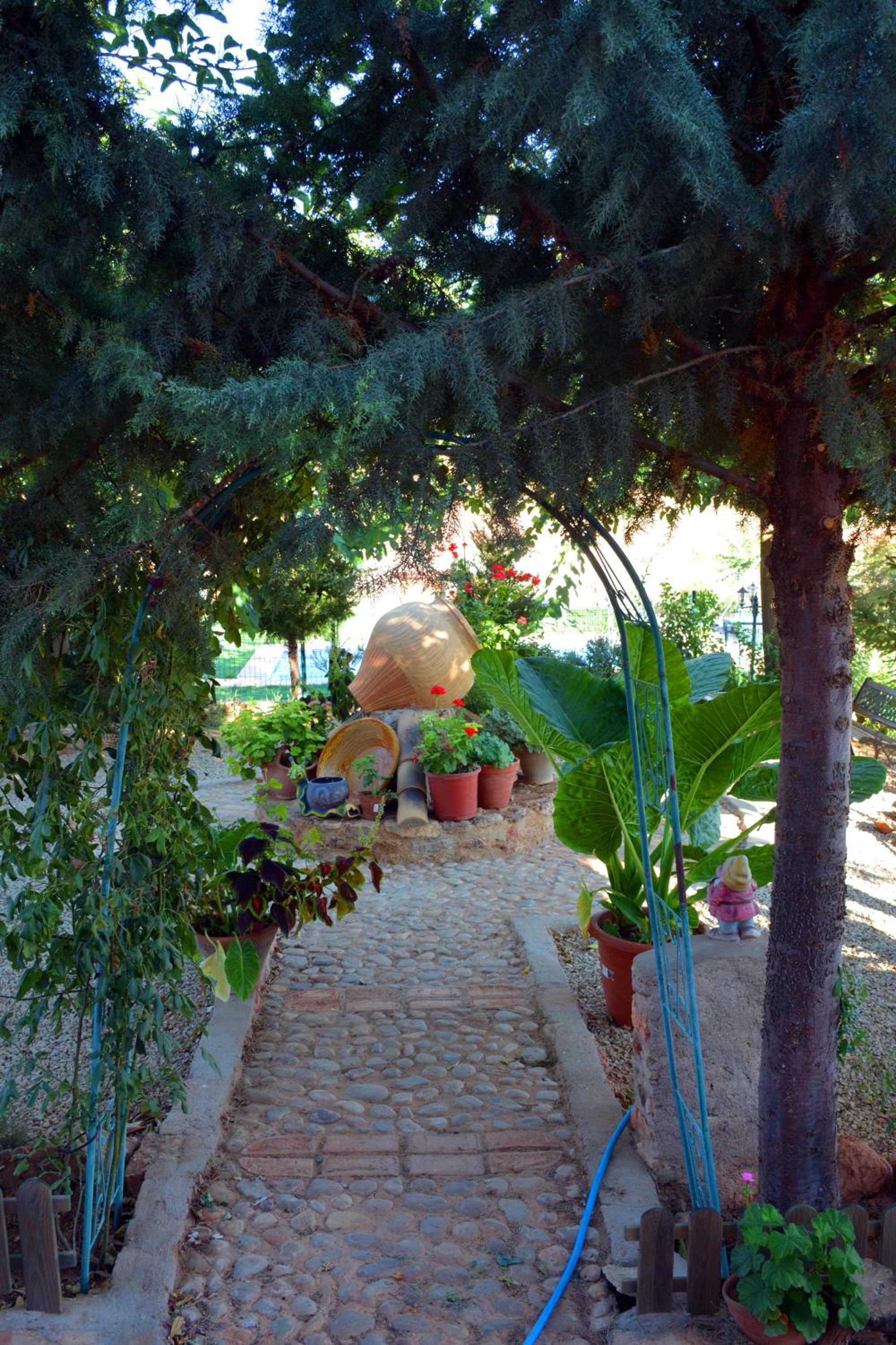 Photo 29