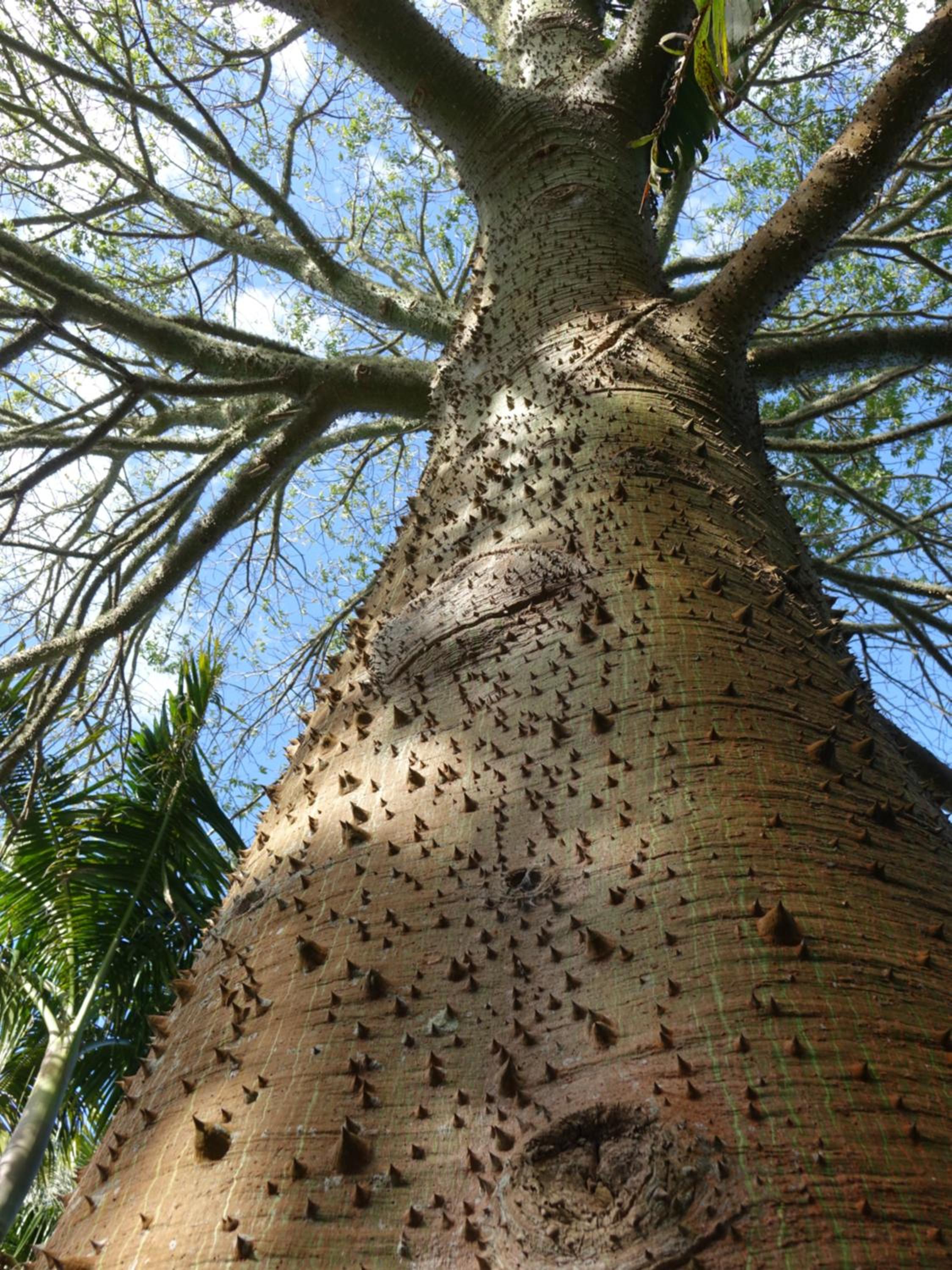Wharepuke Subtropical Accommodation