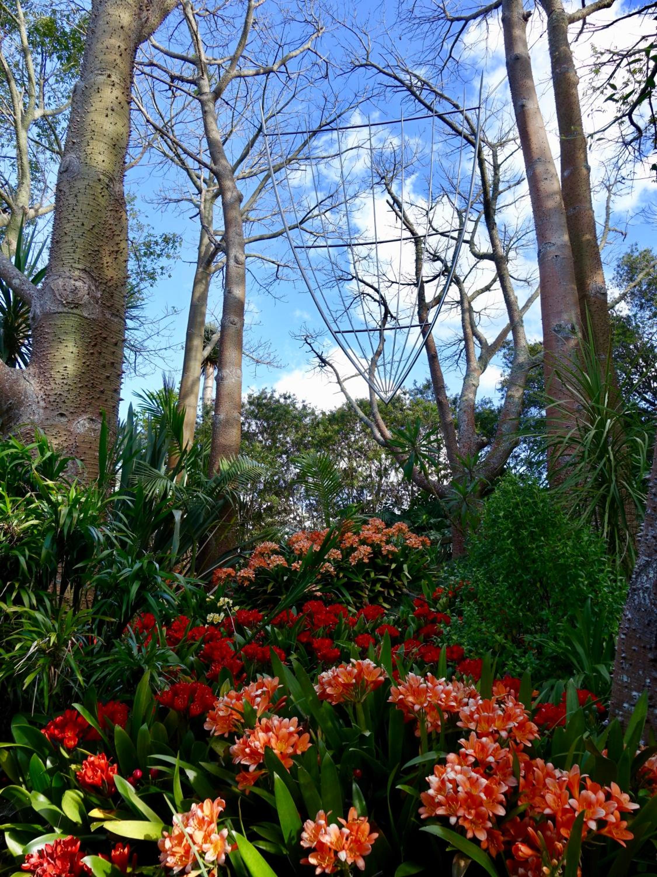 Wharepuke Subtropical Accommodation