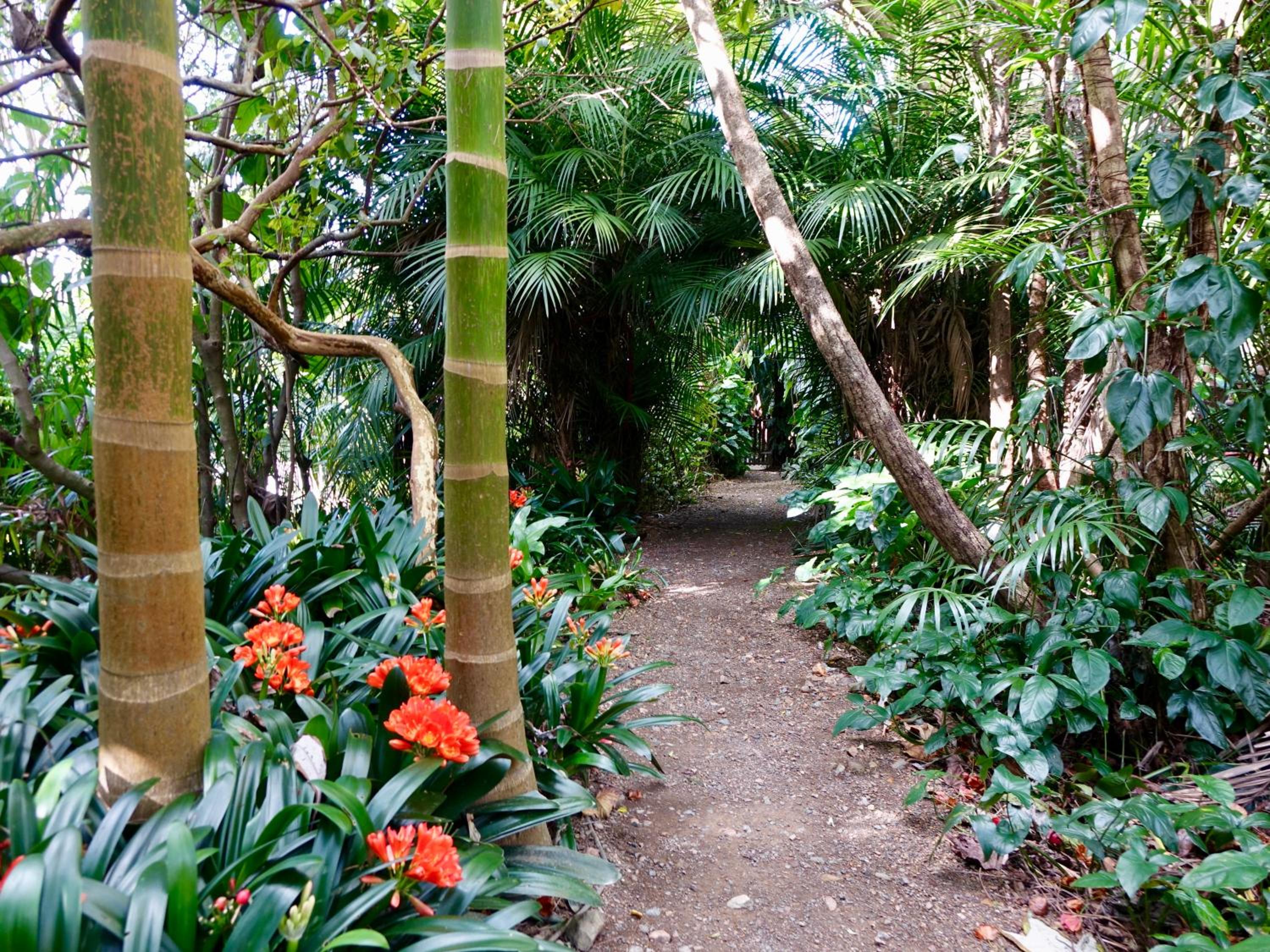 Wharepuke Subtropical Accommodation