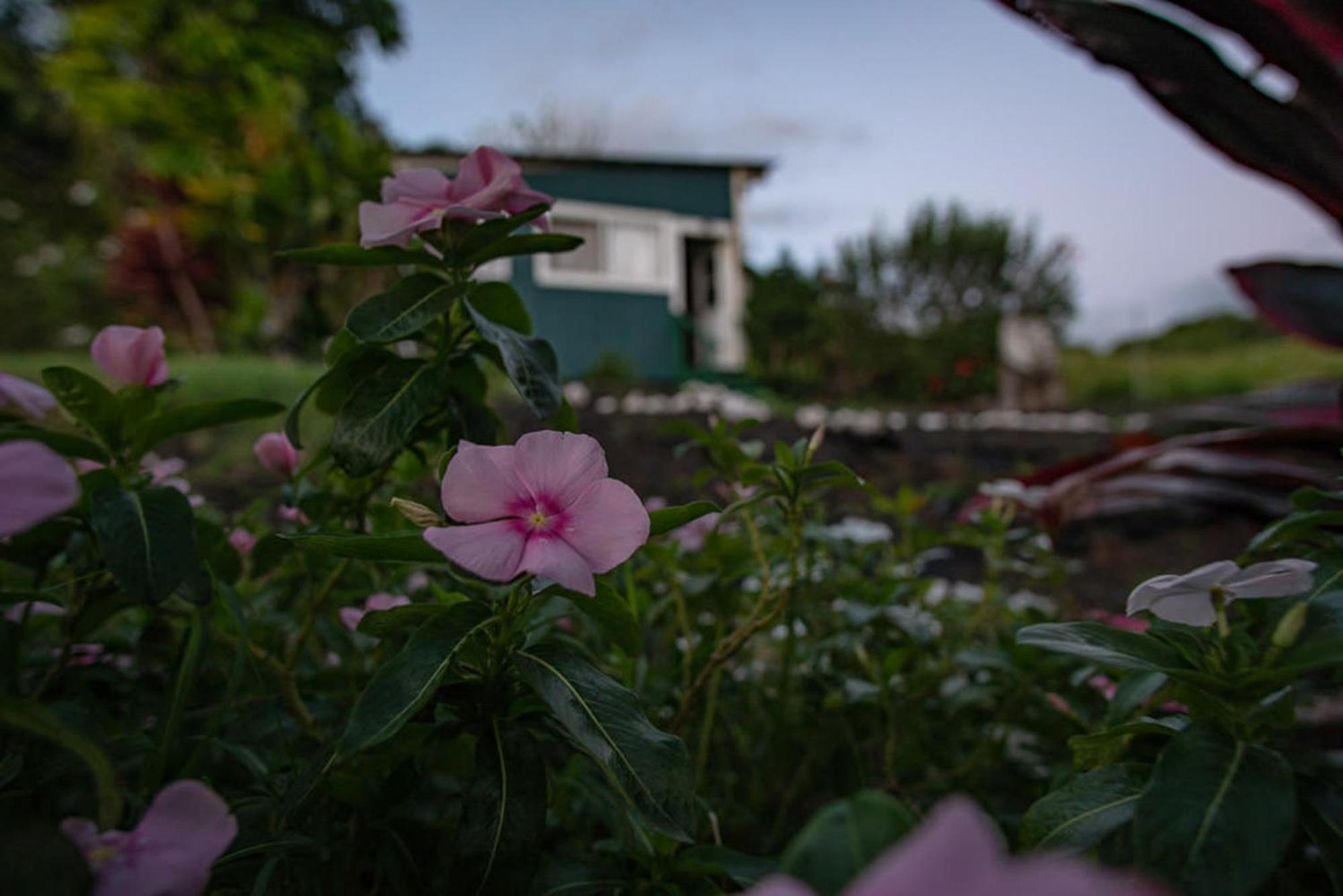 God's Peace of Maui