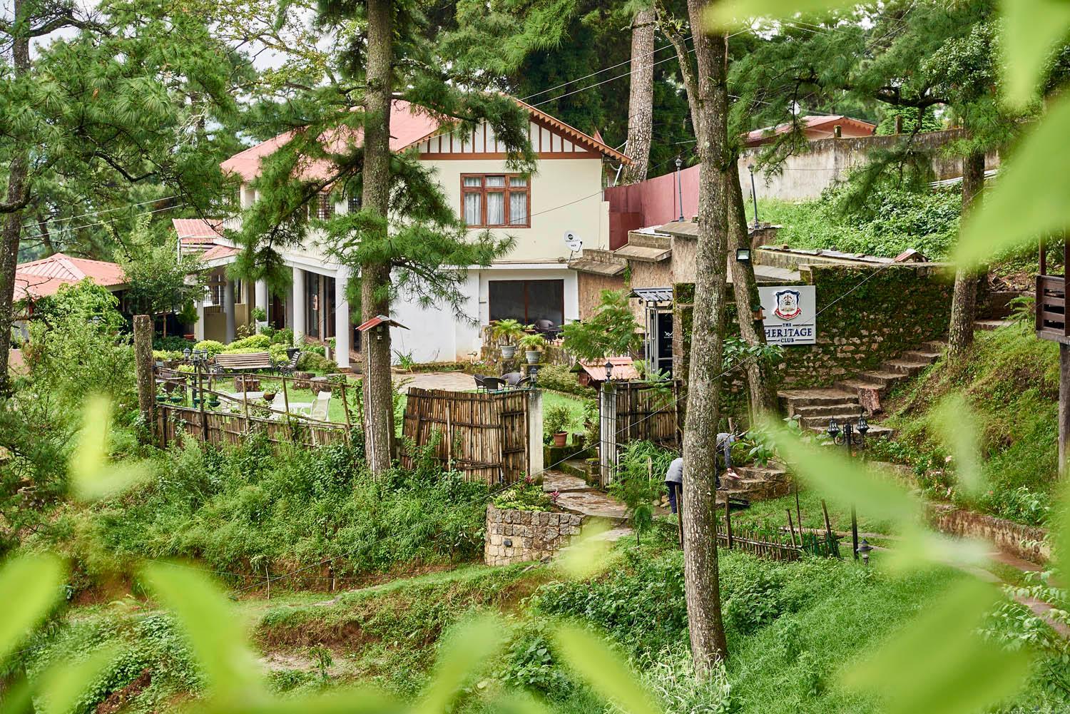 garden