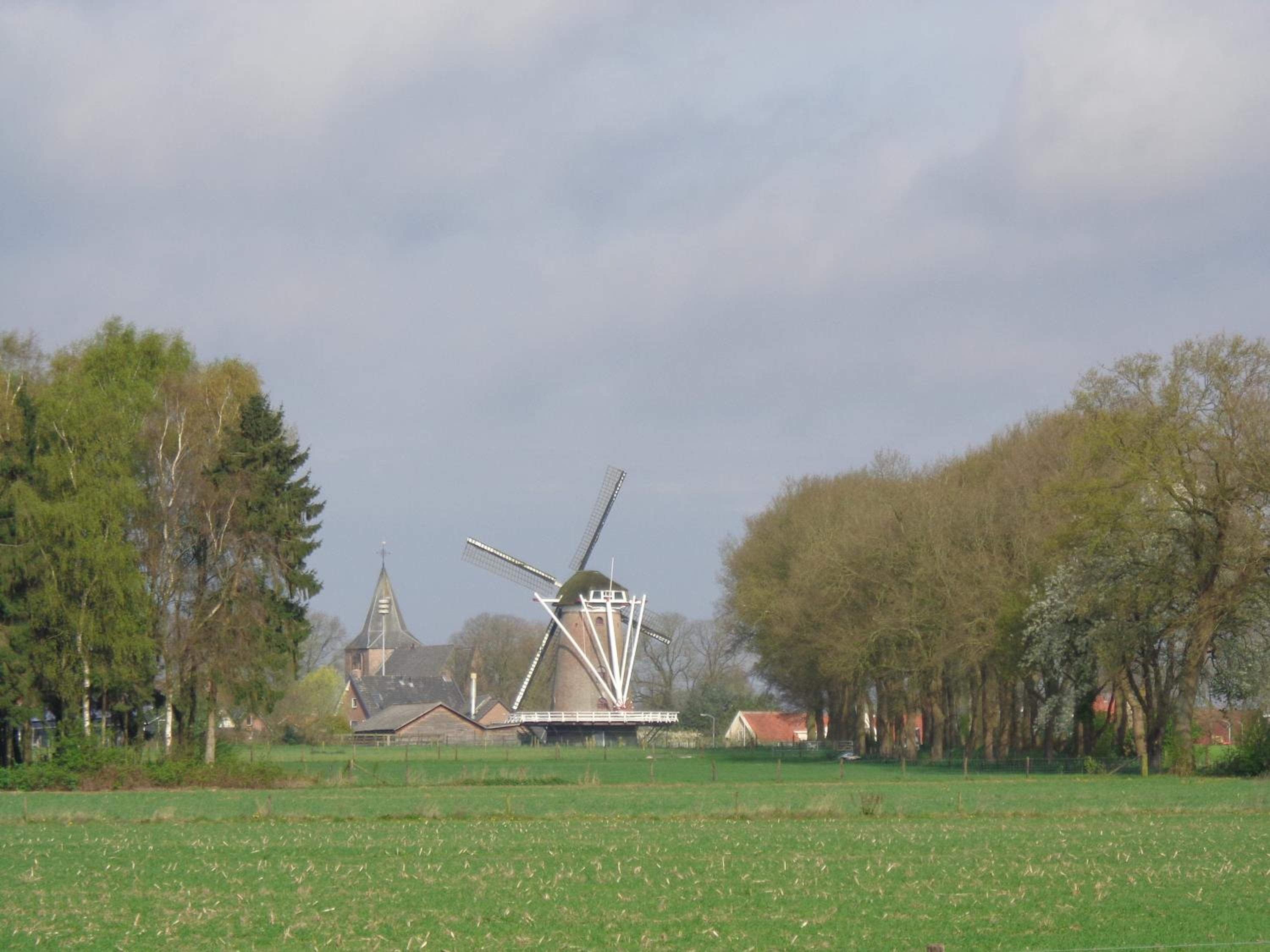 Photo 16