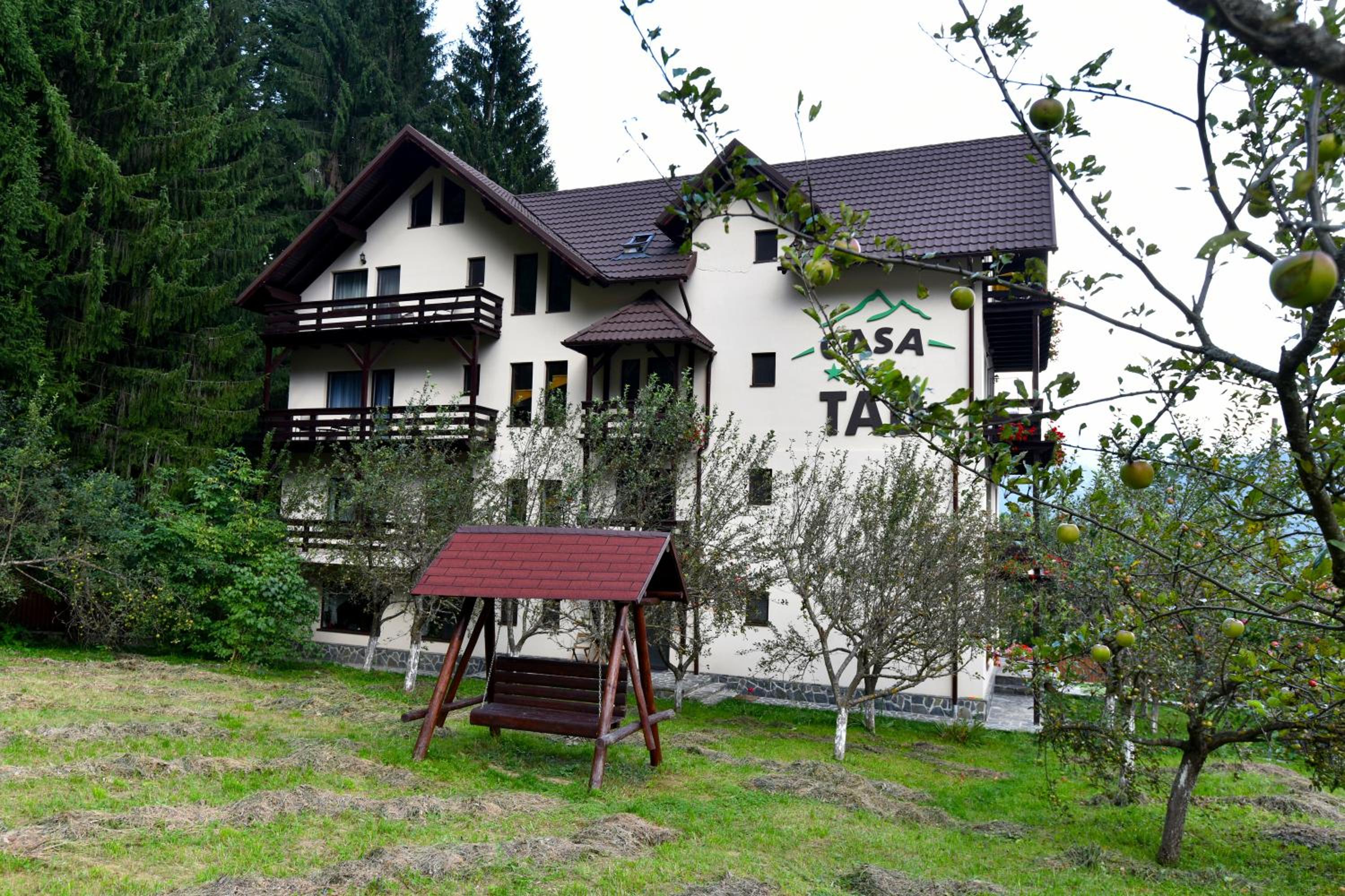 Photo 19