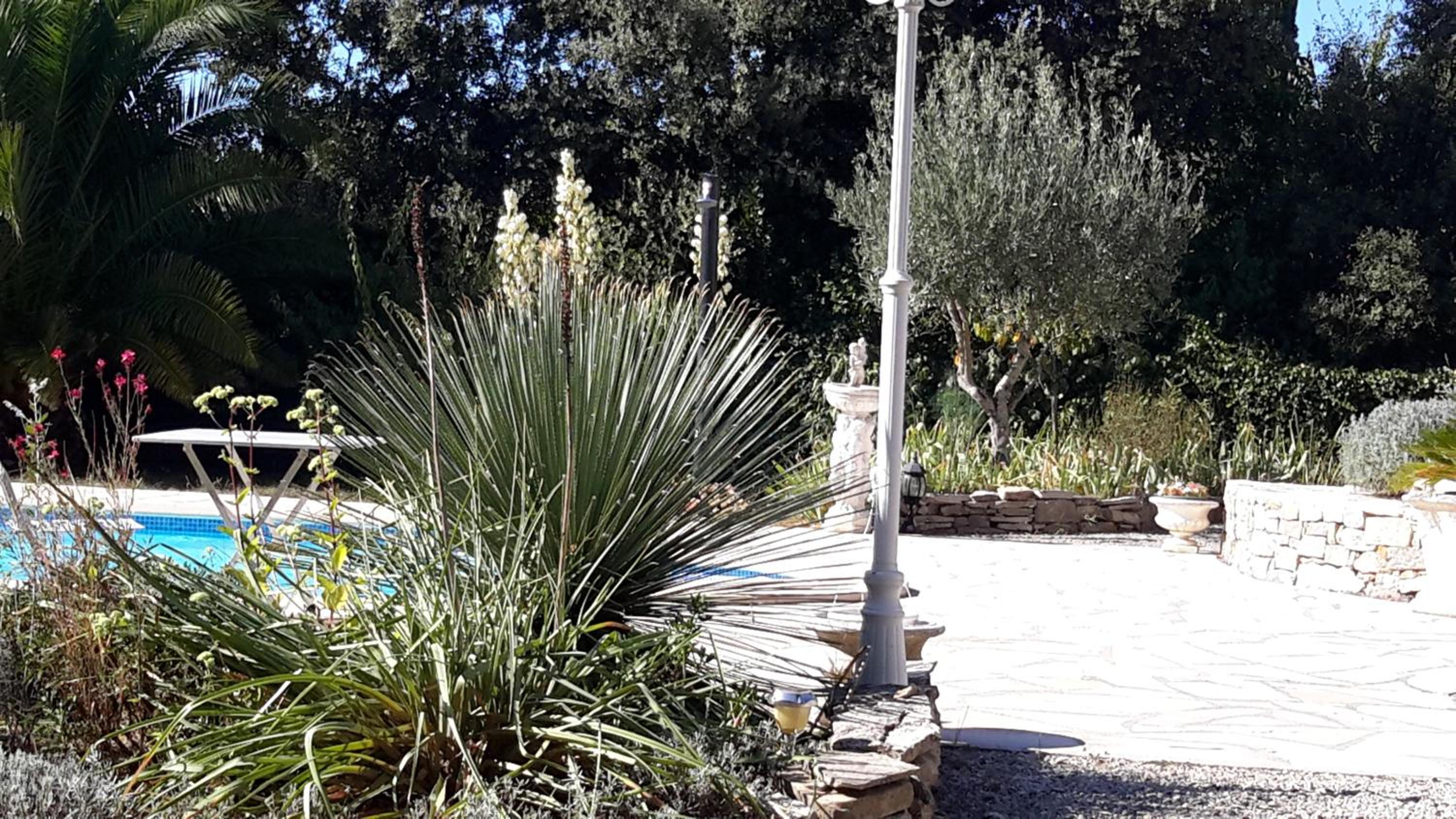 L'Abrialys, photo 28