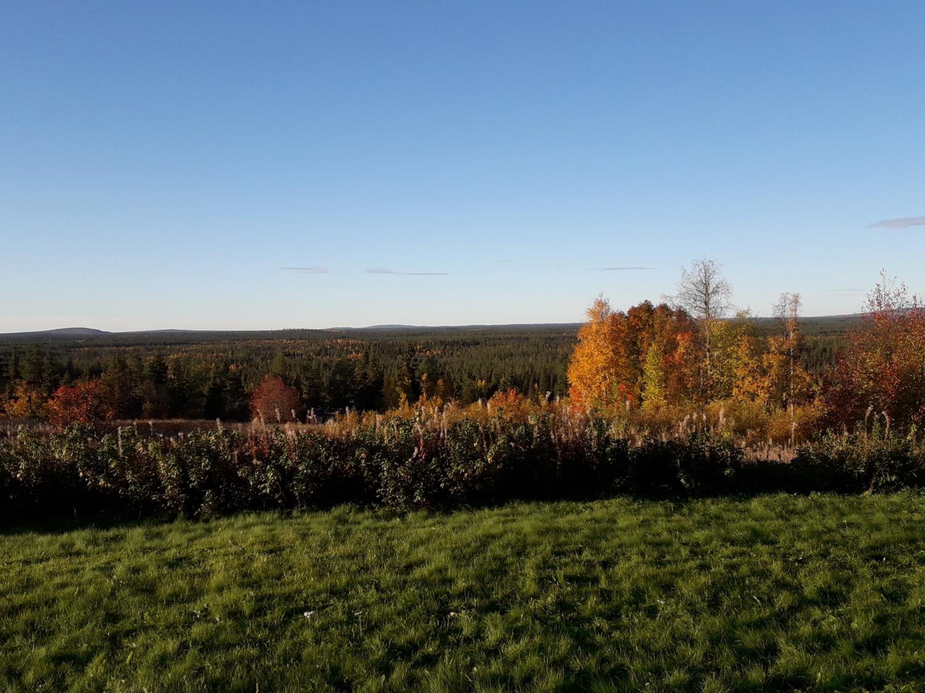 Photo 46