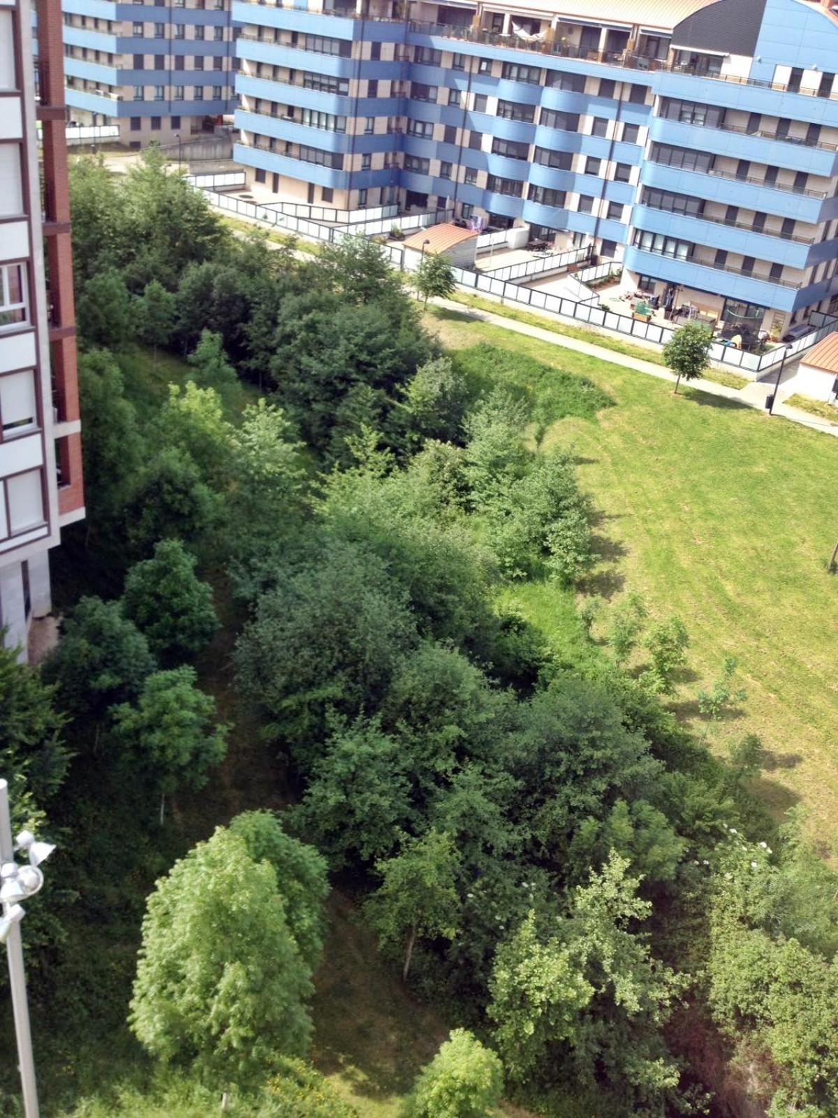 Bermeo y Urdaibai - PARKING-Ascensor - WIFi - tranquilo photo 3