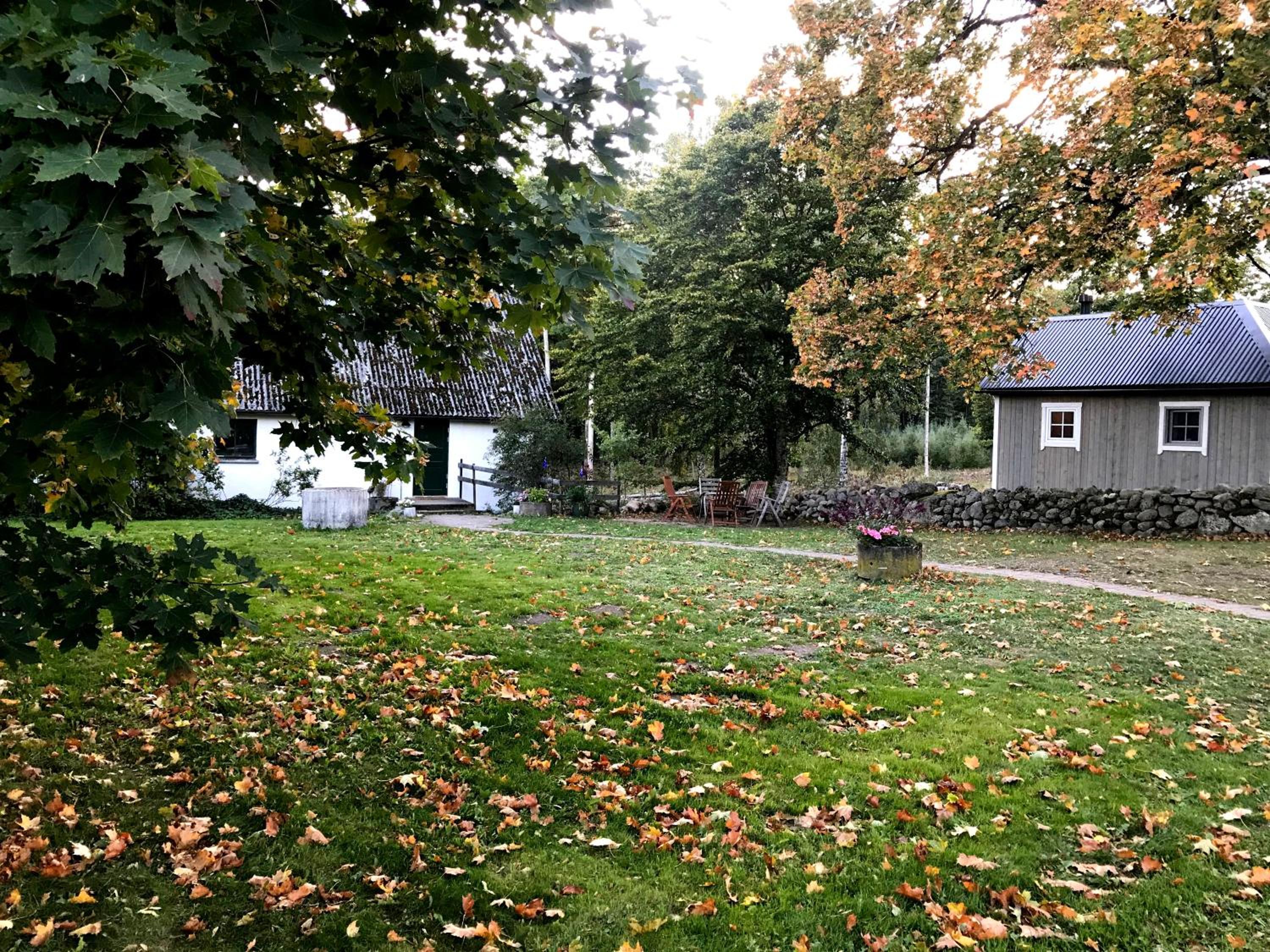 Photo 42