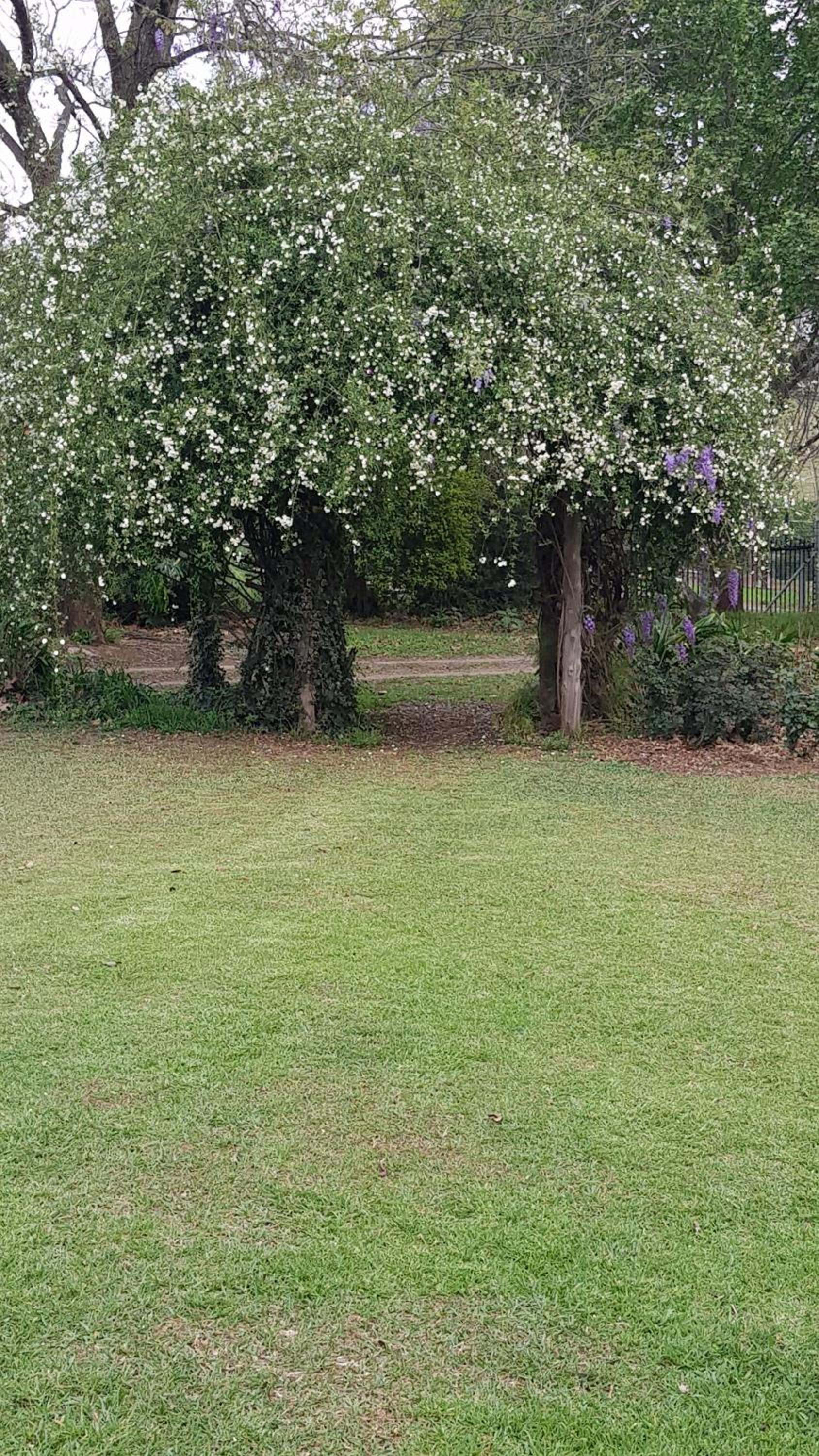 Piccadilly Farm Cottages view 2