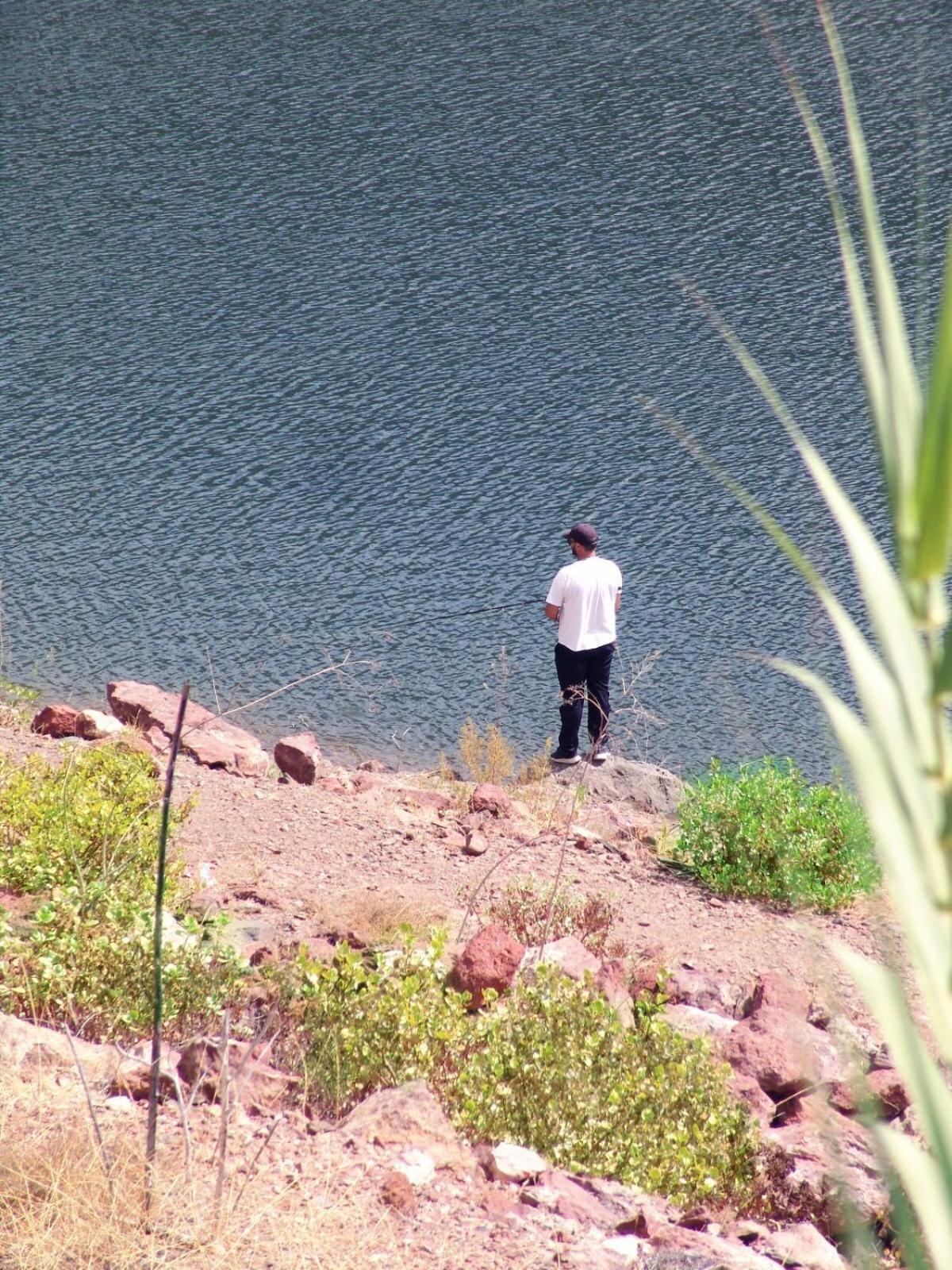 human
