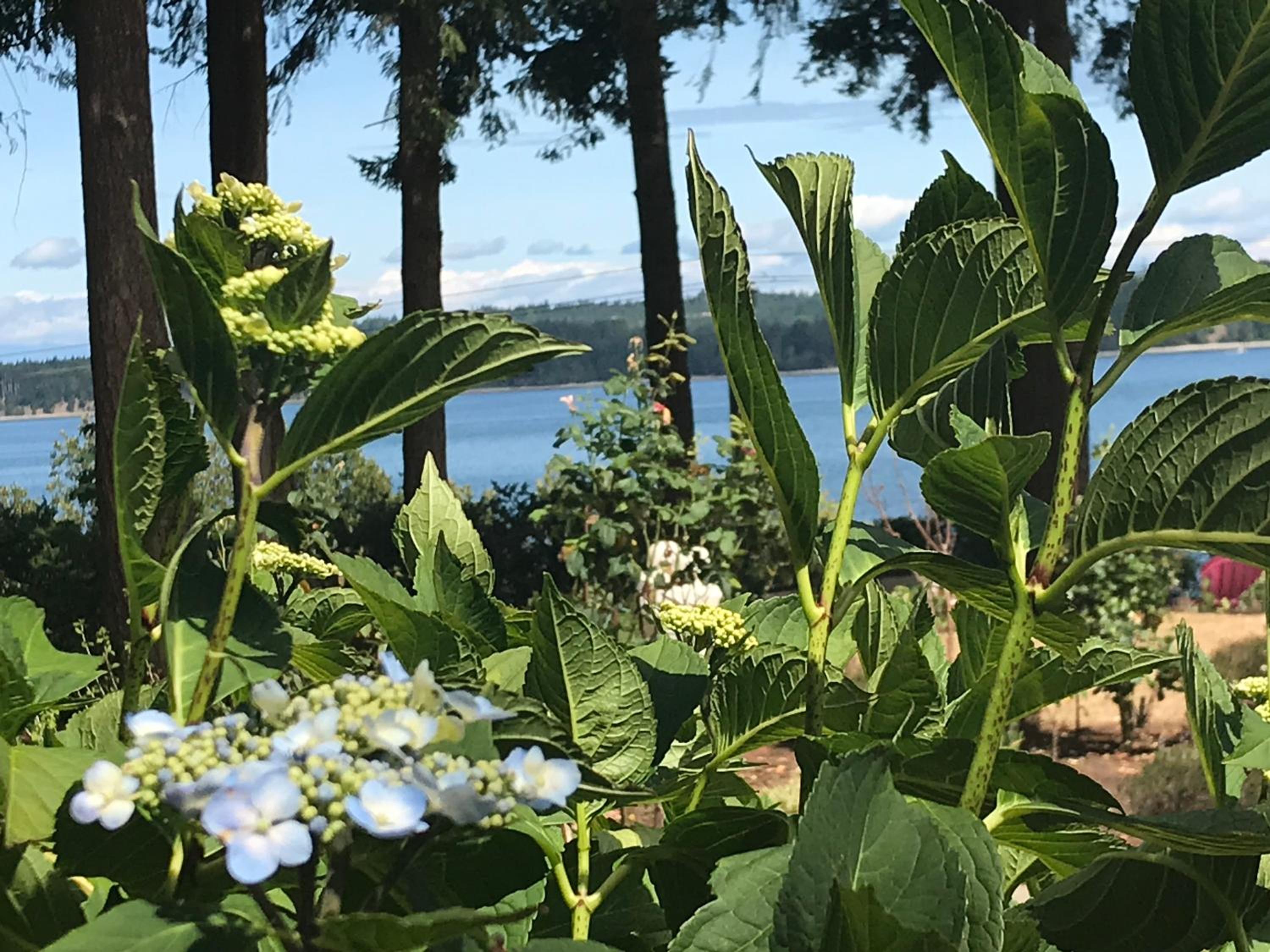 Union Bay Log Home