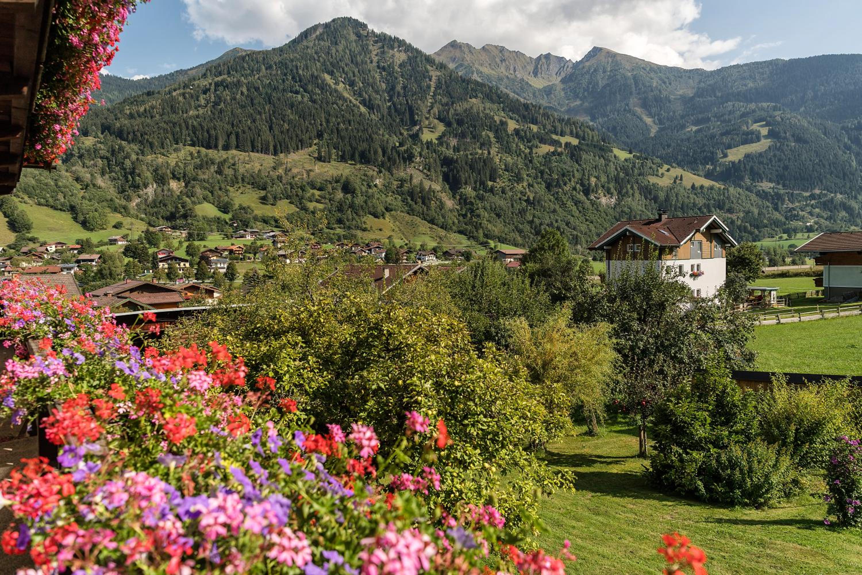 Haus Knapp FeWo Gastein