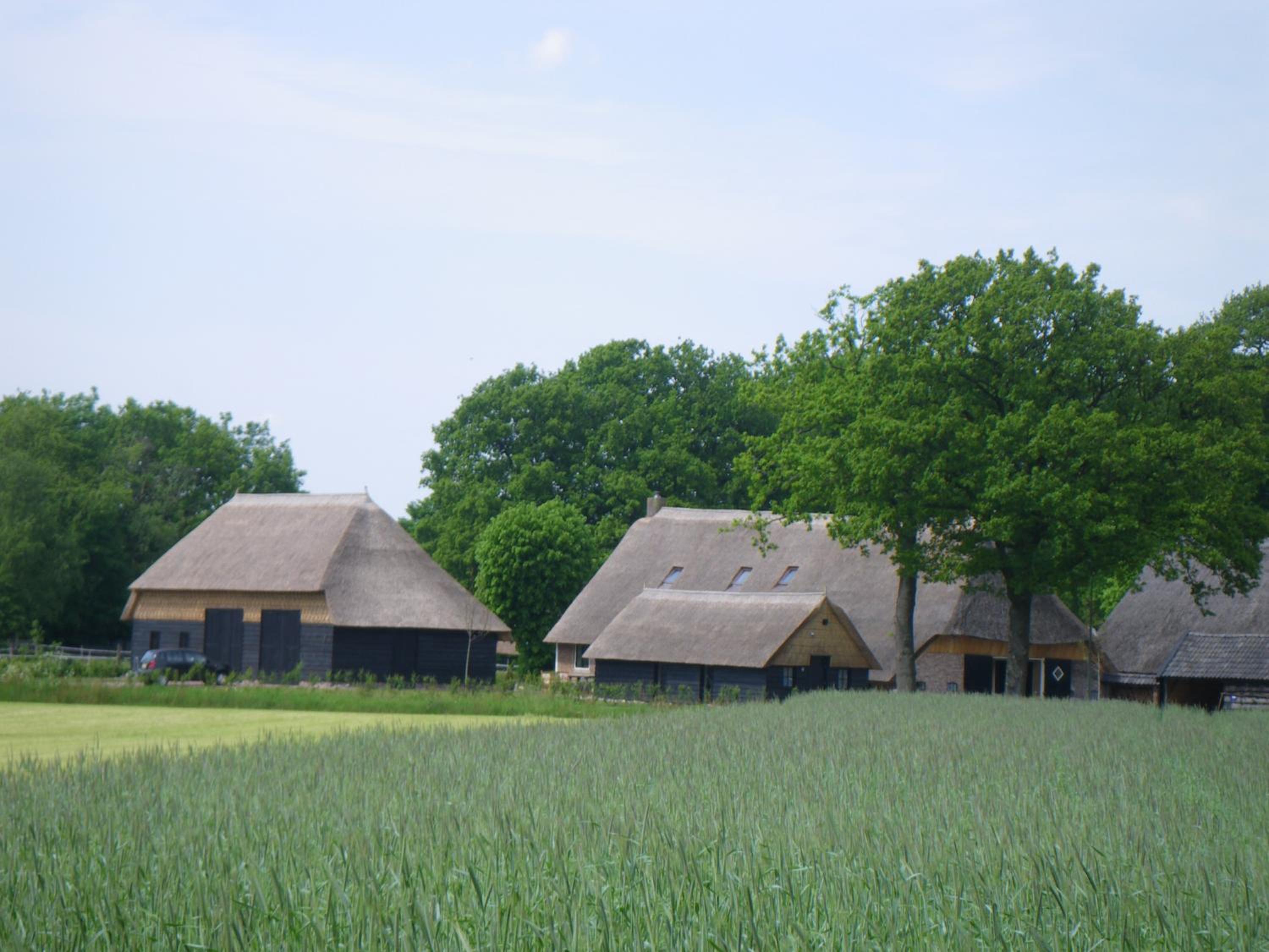 Gastenverblijf Lheederhof Lodges in monumentale boerderij view 2