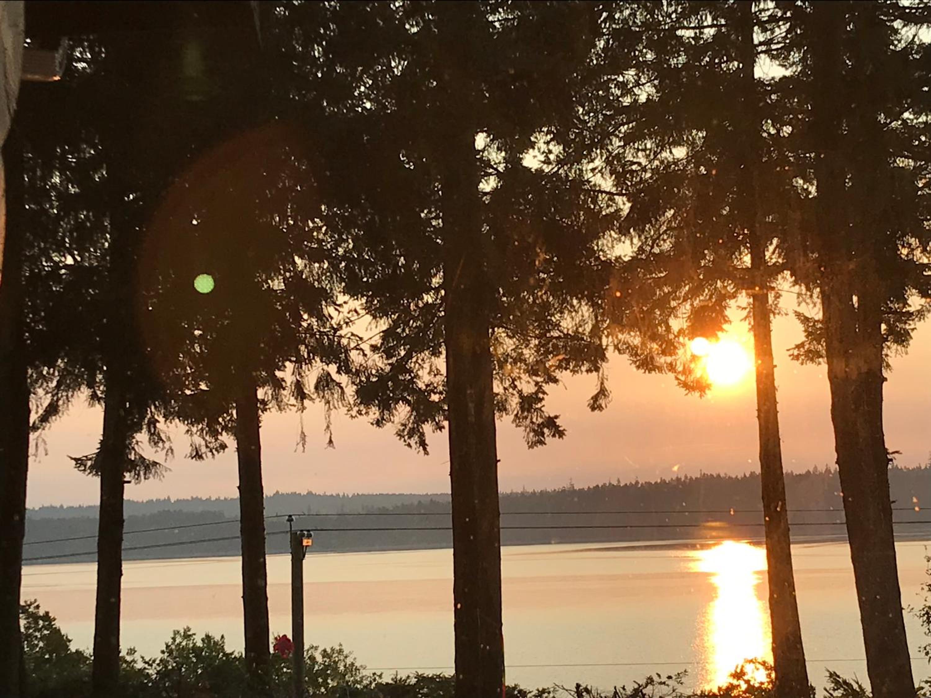 Union Bay Log Home
