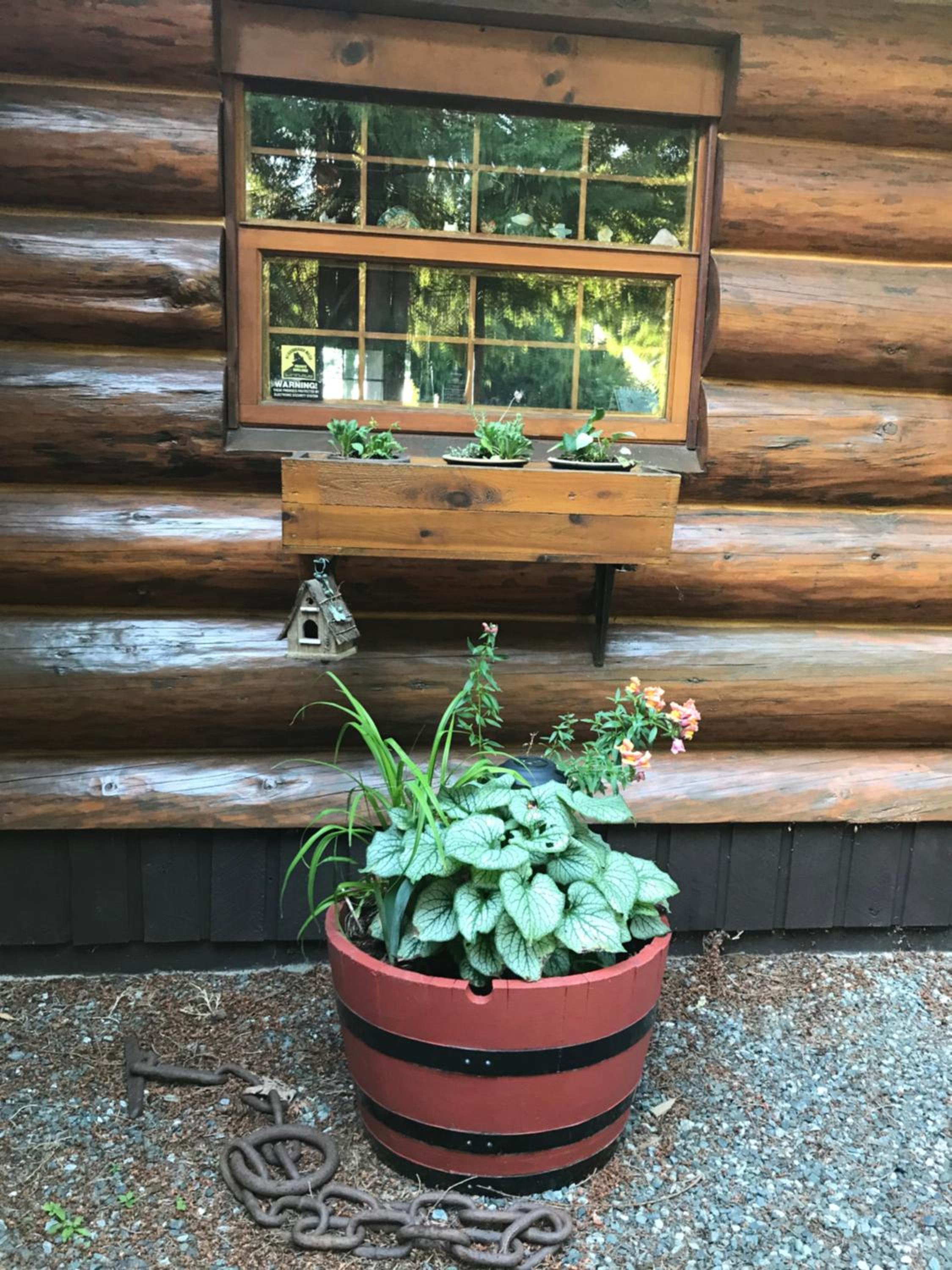 Union Bay Log Home