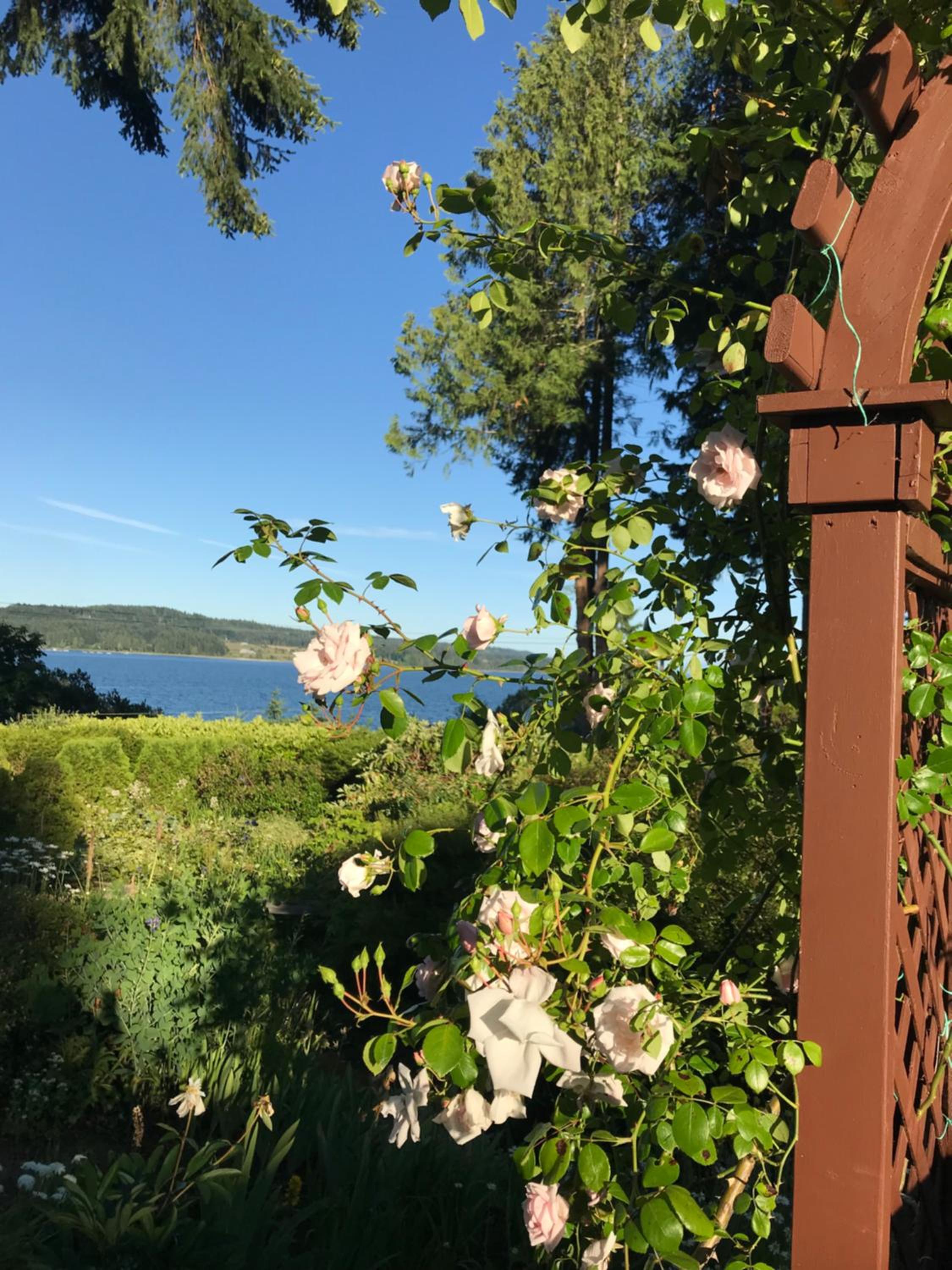 Union Bay Log Home