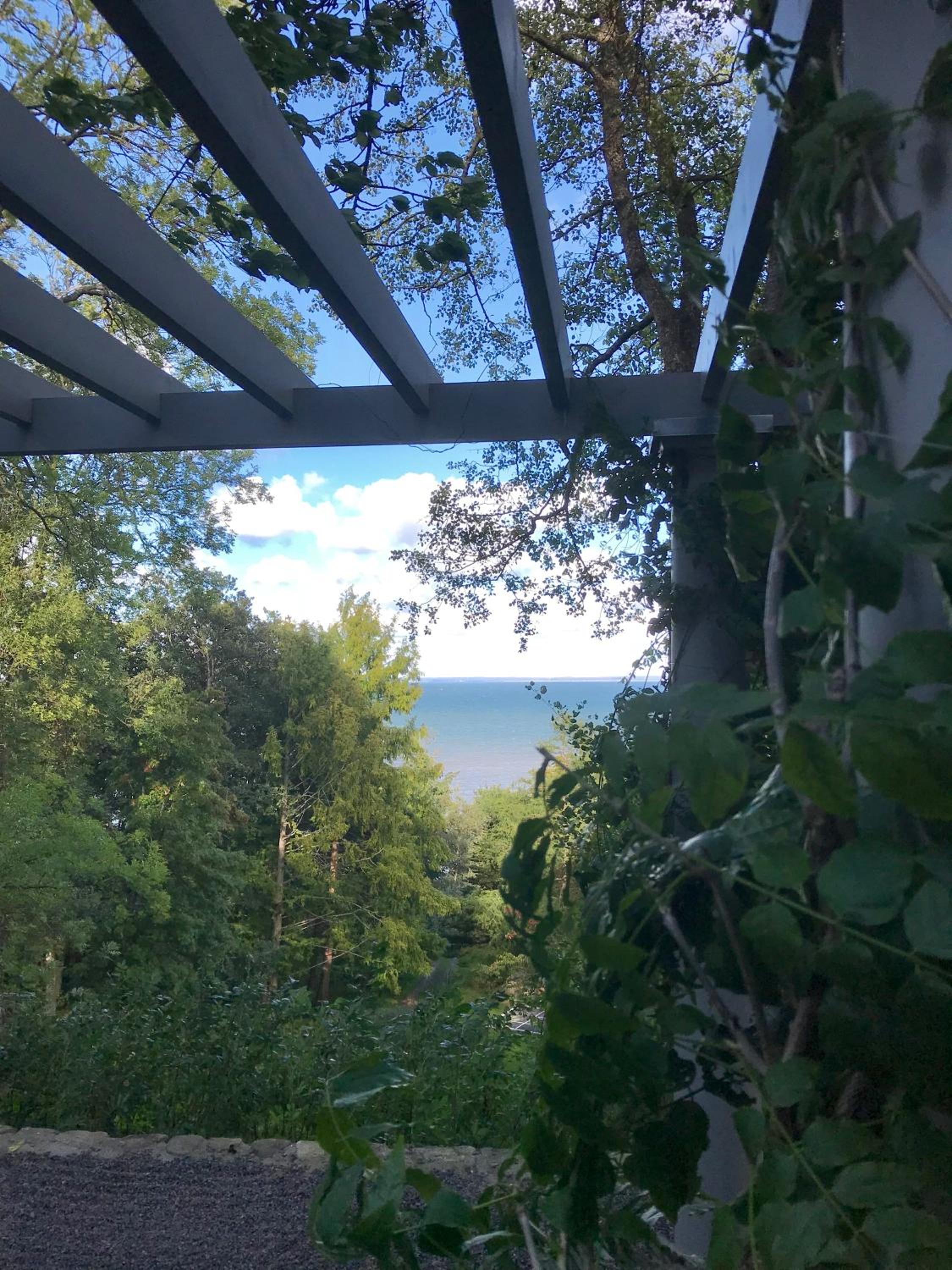 Photo 142