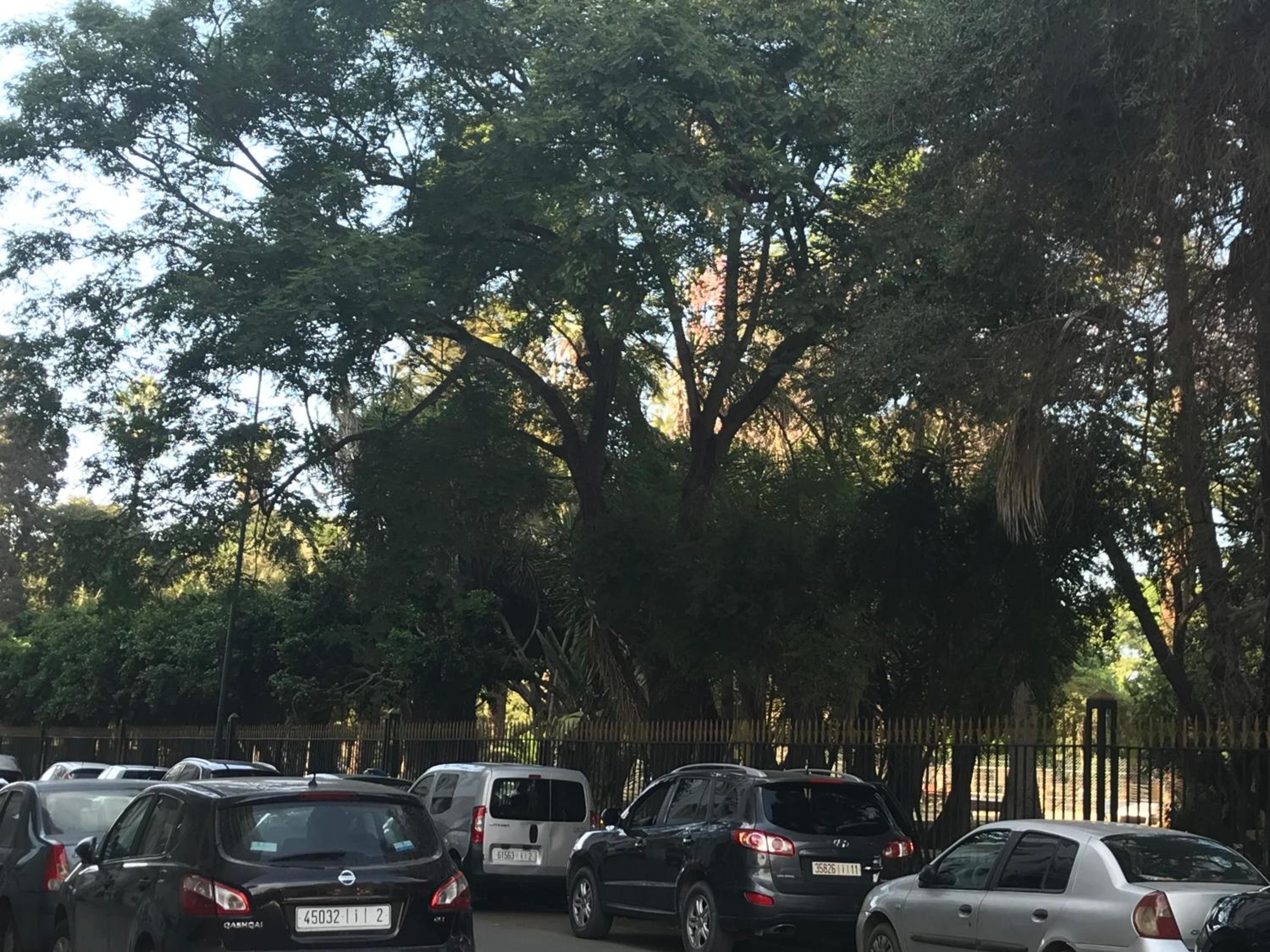 parking