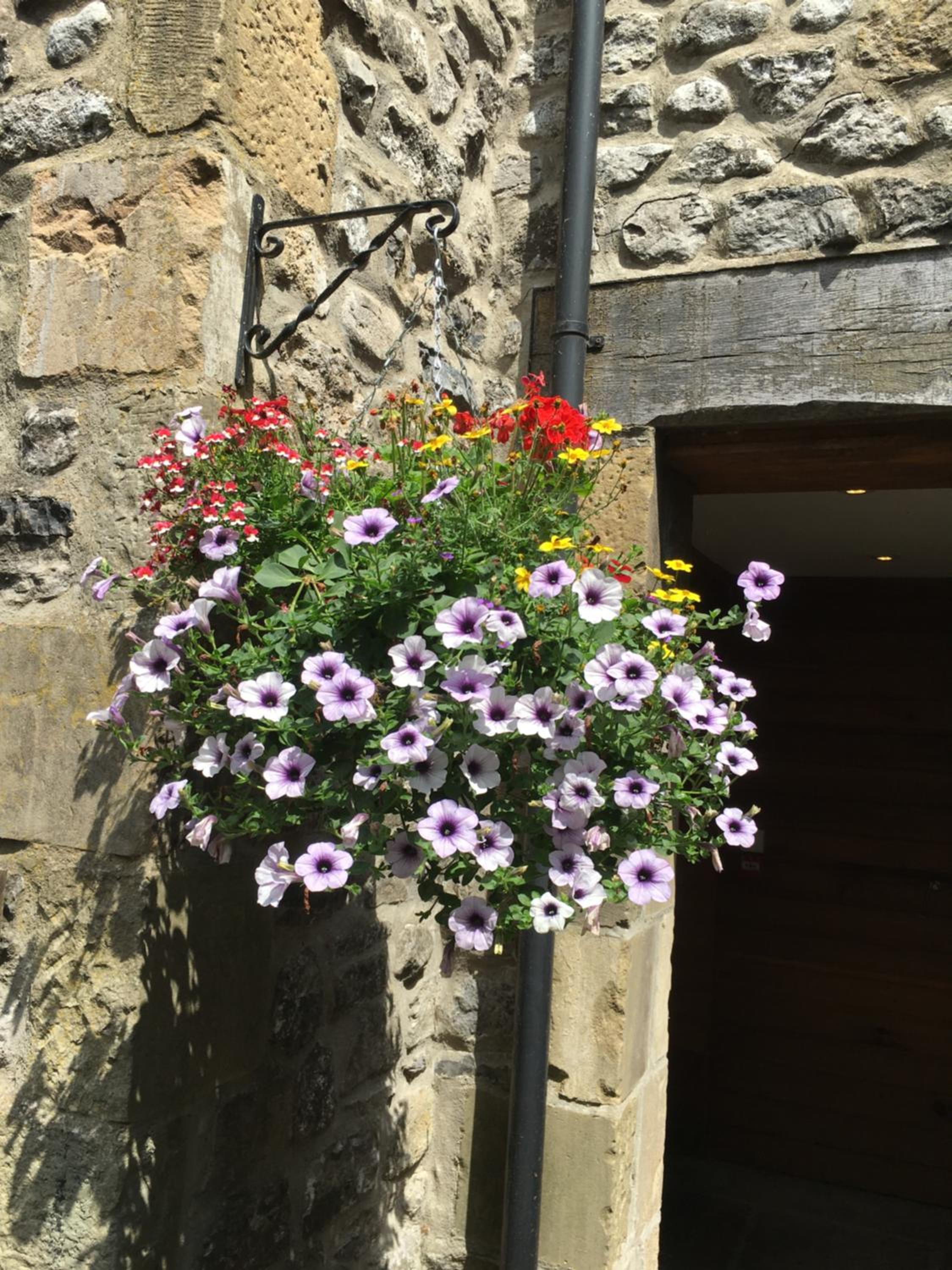 Highfield Guesthouse