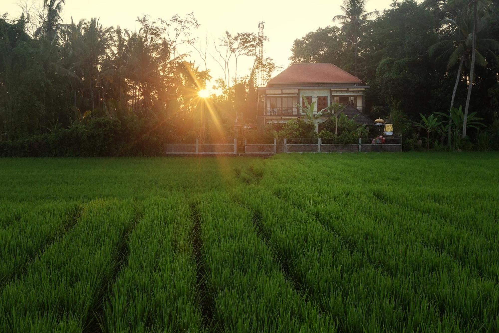 Demank Hidden Guesthouse